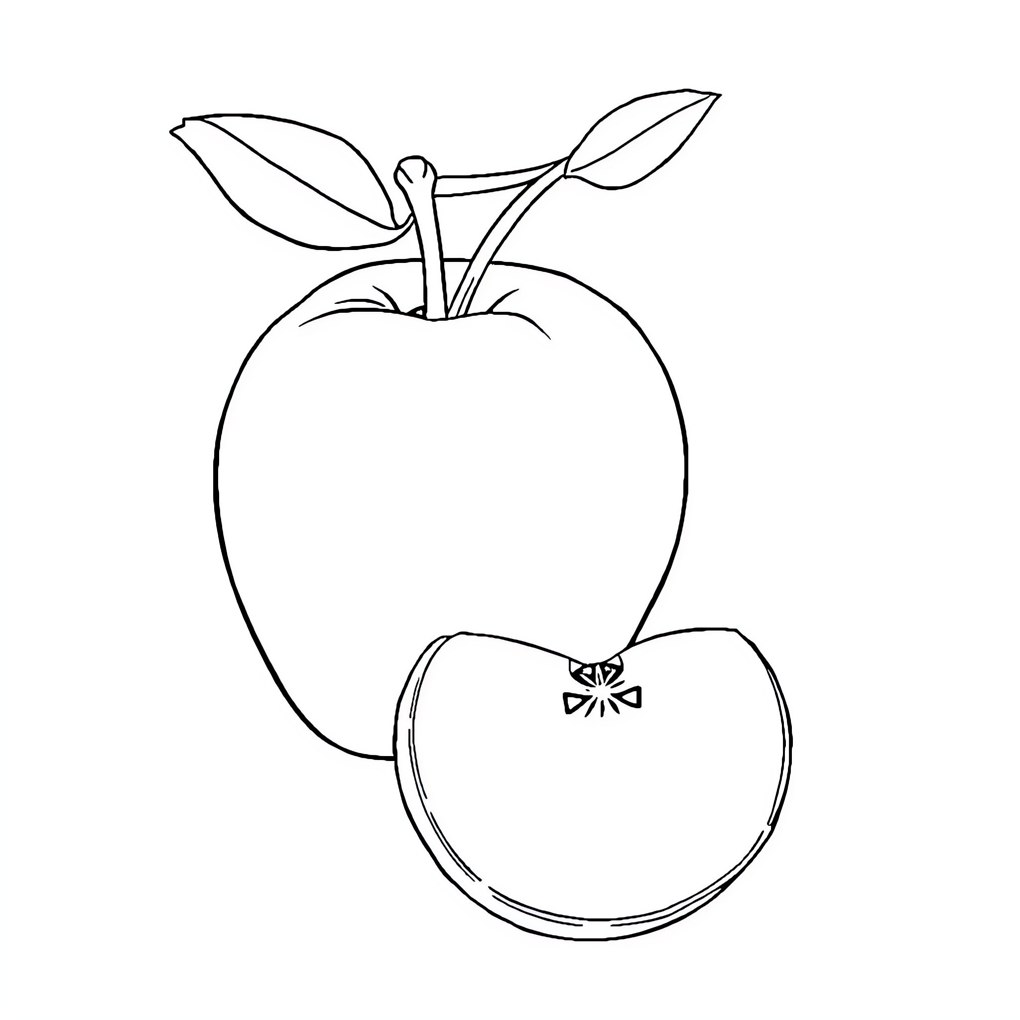 Fruit in simple outline form Coloring Page (free black-and-white line drawing printable PDF for all, from beginners to advanced learners, including children, teens, adults, and seniors)