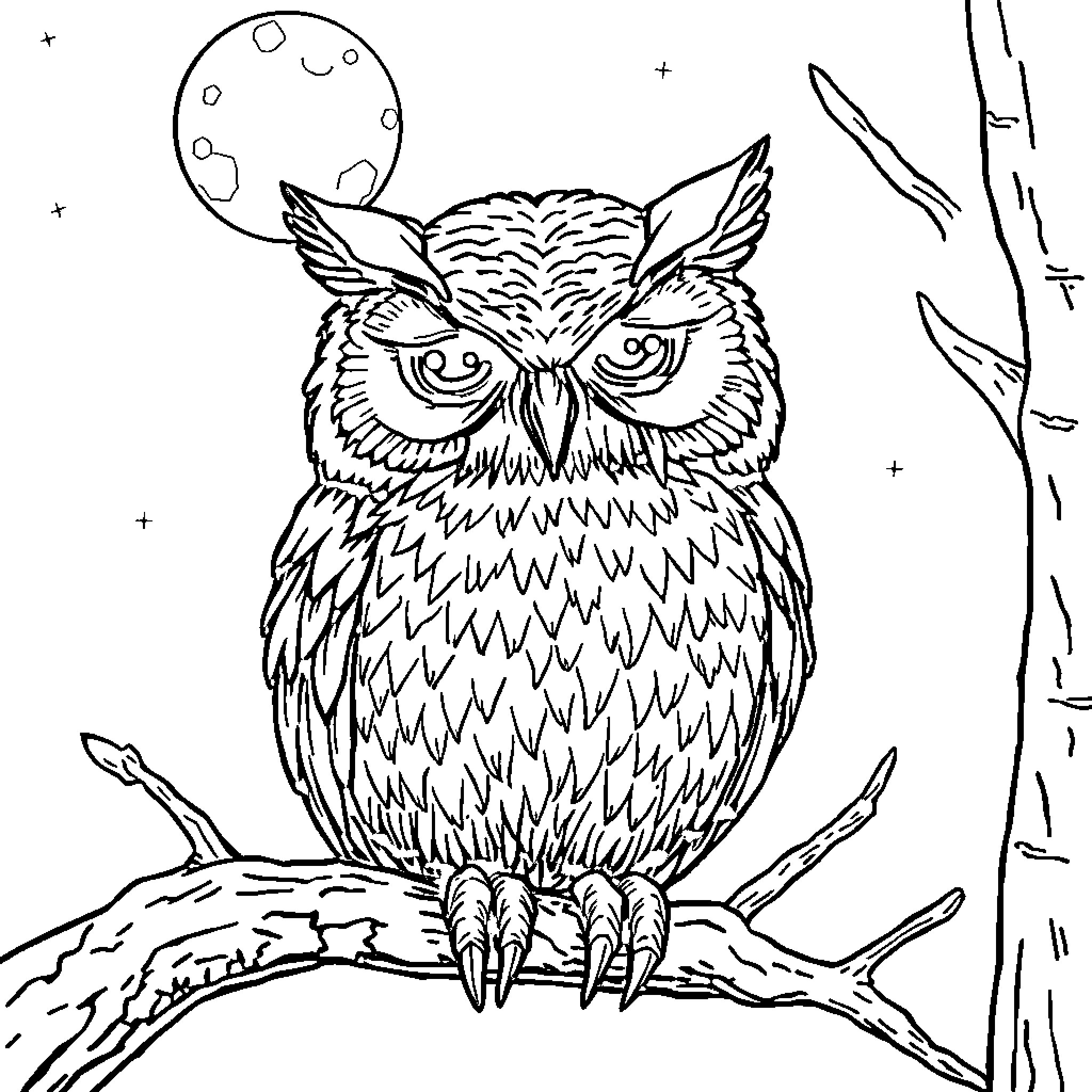 Owl gazing under the moonlight Coloring Page (free black-and-white line drawing printable PDF for all, from beginners to advanced learners, including children, teens, adults, and seniors)