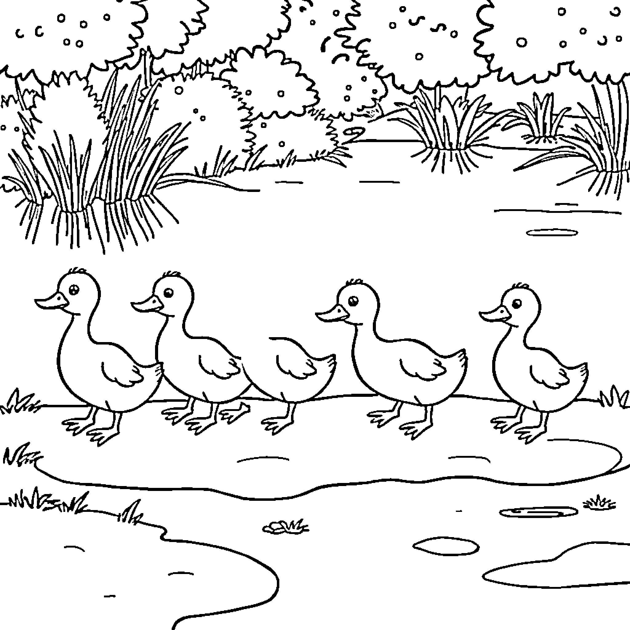 Duck family walking through the park Coloring Page (free black-and-white line drawing printable PDF for all, from beginners to advanced learners, including children, teens, adults, and seniors)