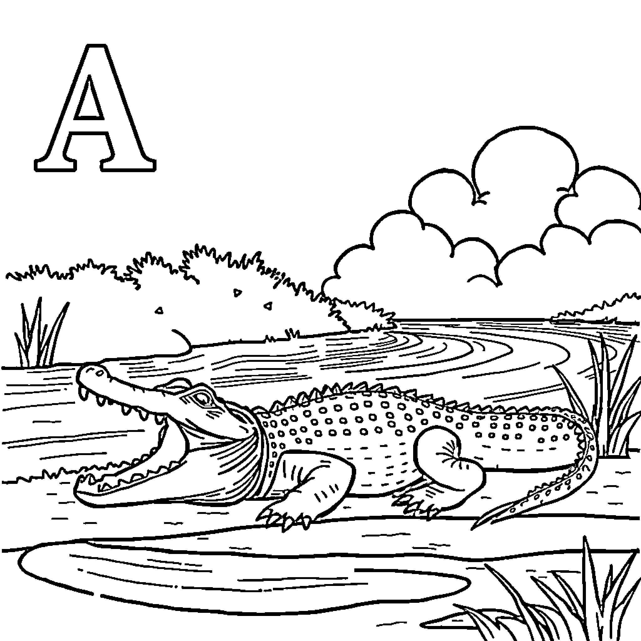 Alligator swimming in a swampy landscape Coloring Page (free black-and-white line drawing printable PDF for all, from beginners to advanced learners, including children, teens, adults, and seniors)