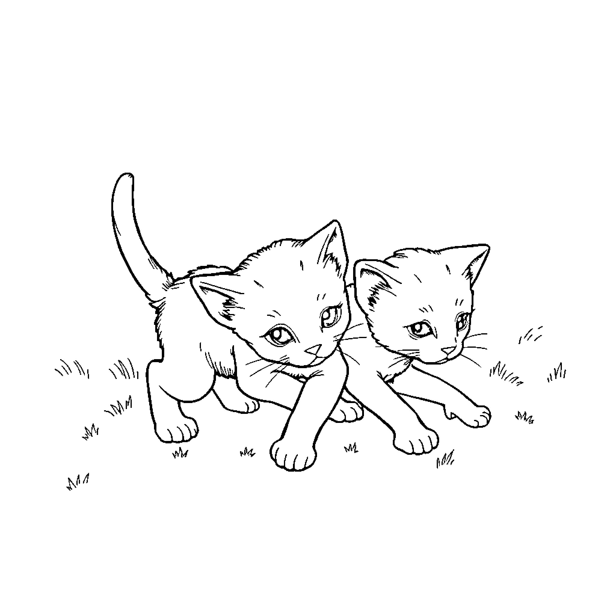 Kittens exploring the outdoors Coloring Page (free black-and-white line drawing printable PDF for all, from beginners to advanced learners, including children, teens, adults, and seniors)