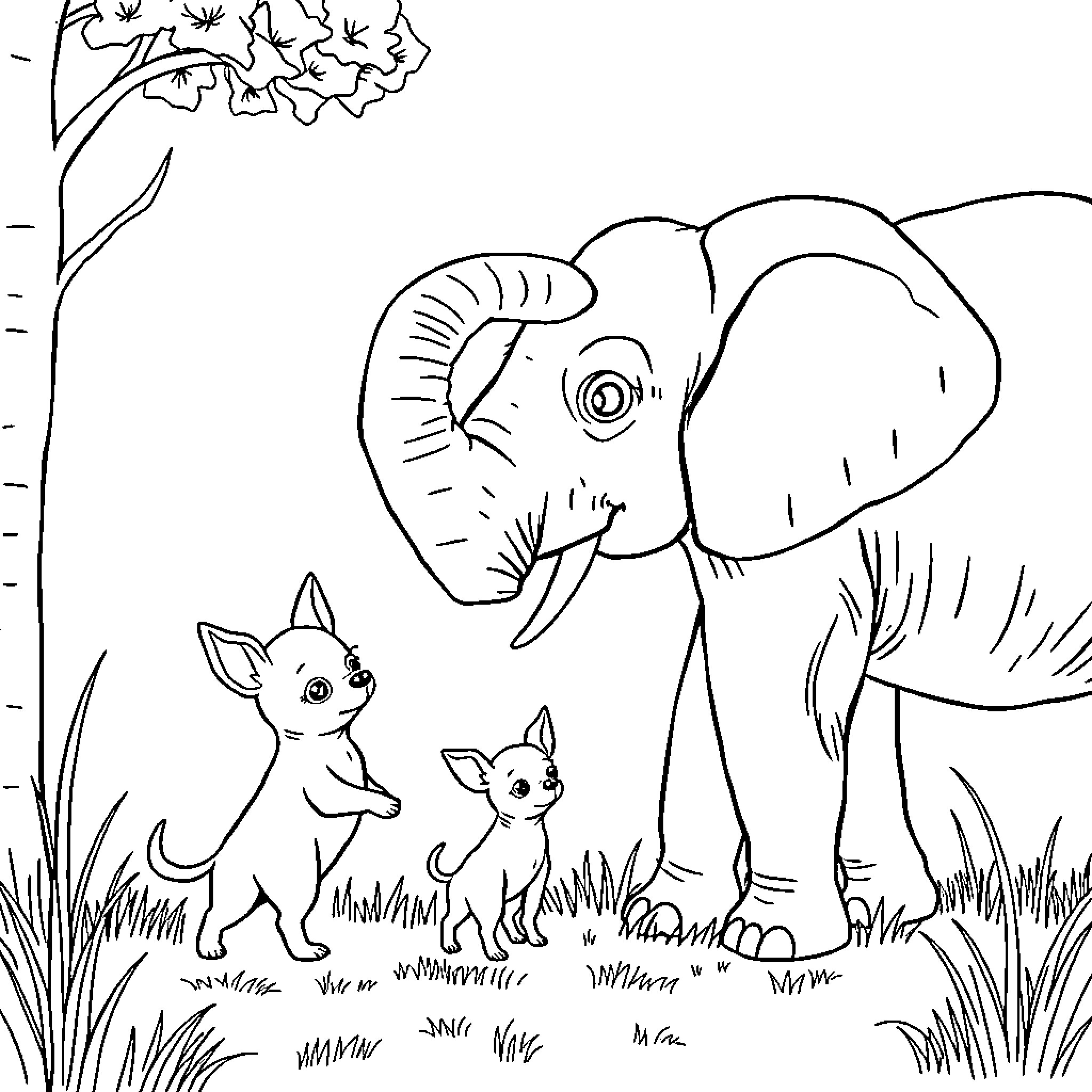 Chihuahuas and Elephant in the Wild Coloring Page (free black-and-white line drawing printable PDF for all, from beginners to advanced learners, including children, teens, adults, and seniors)