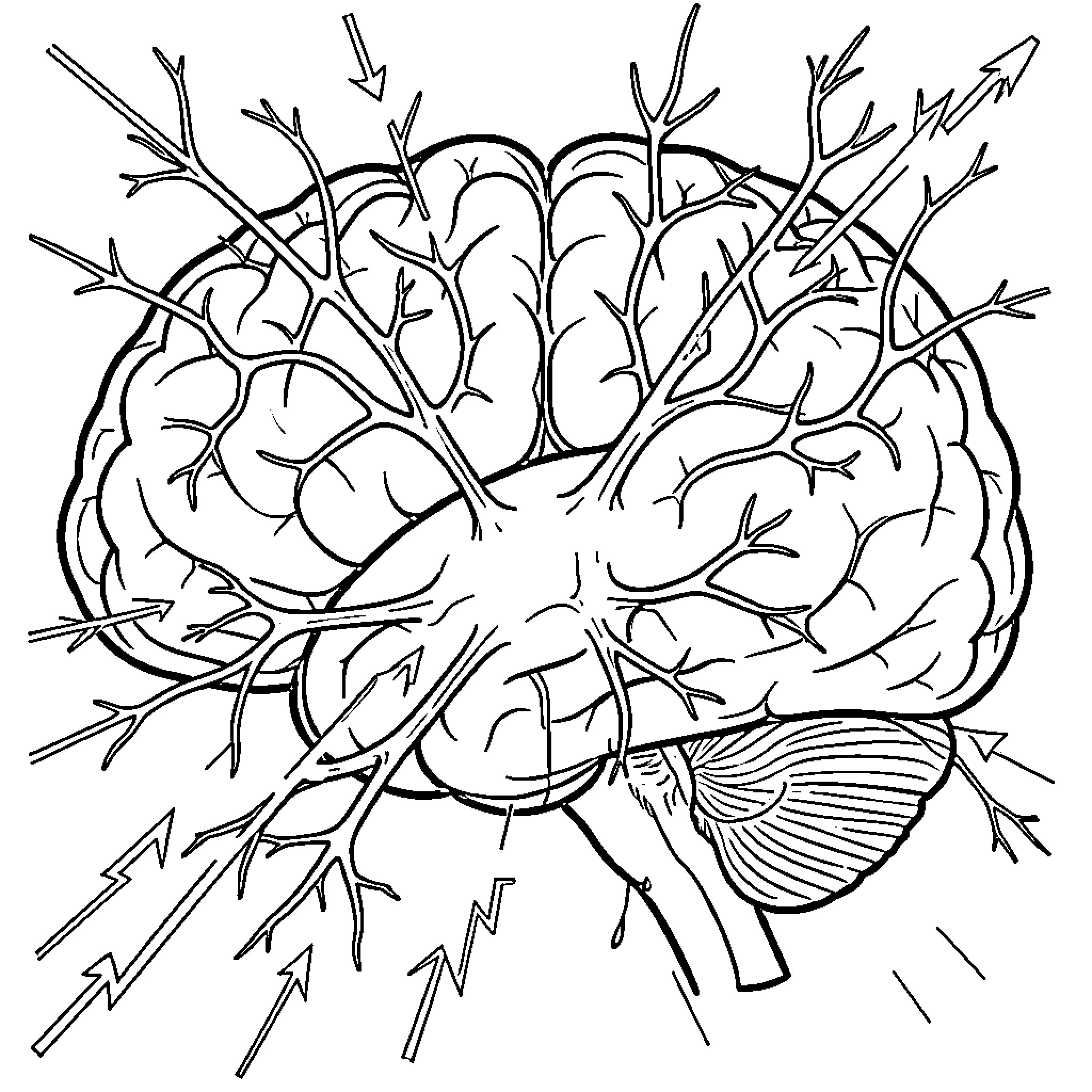 Neuron signals firing across the human brain structure Coloring Page (free black-and-white line drawing printable PDF for all, from beginners to advanced learners, including children, teens, adults, and seniors)