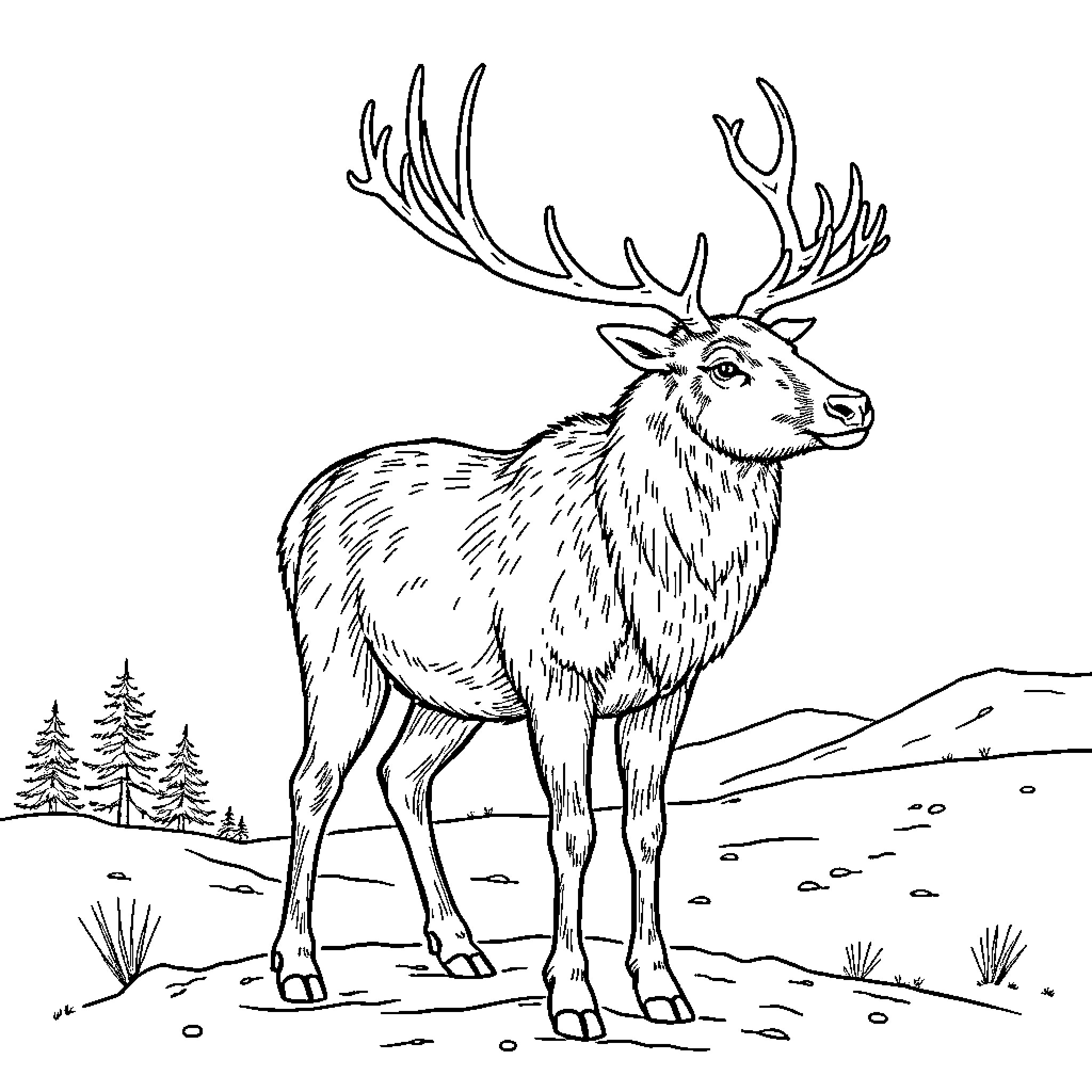 Reindeer standing tall in winter landscape Coloring Page (free black-and-white line drawing printable PDF for all, from beginners to advanced learners, including children, teens, adults, and seniors)