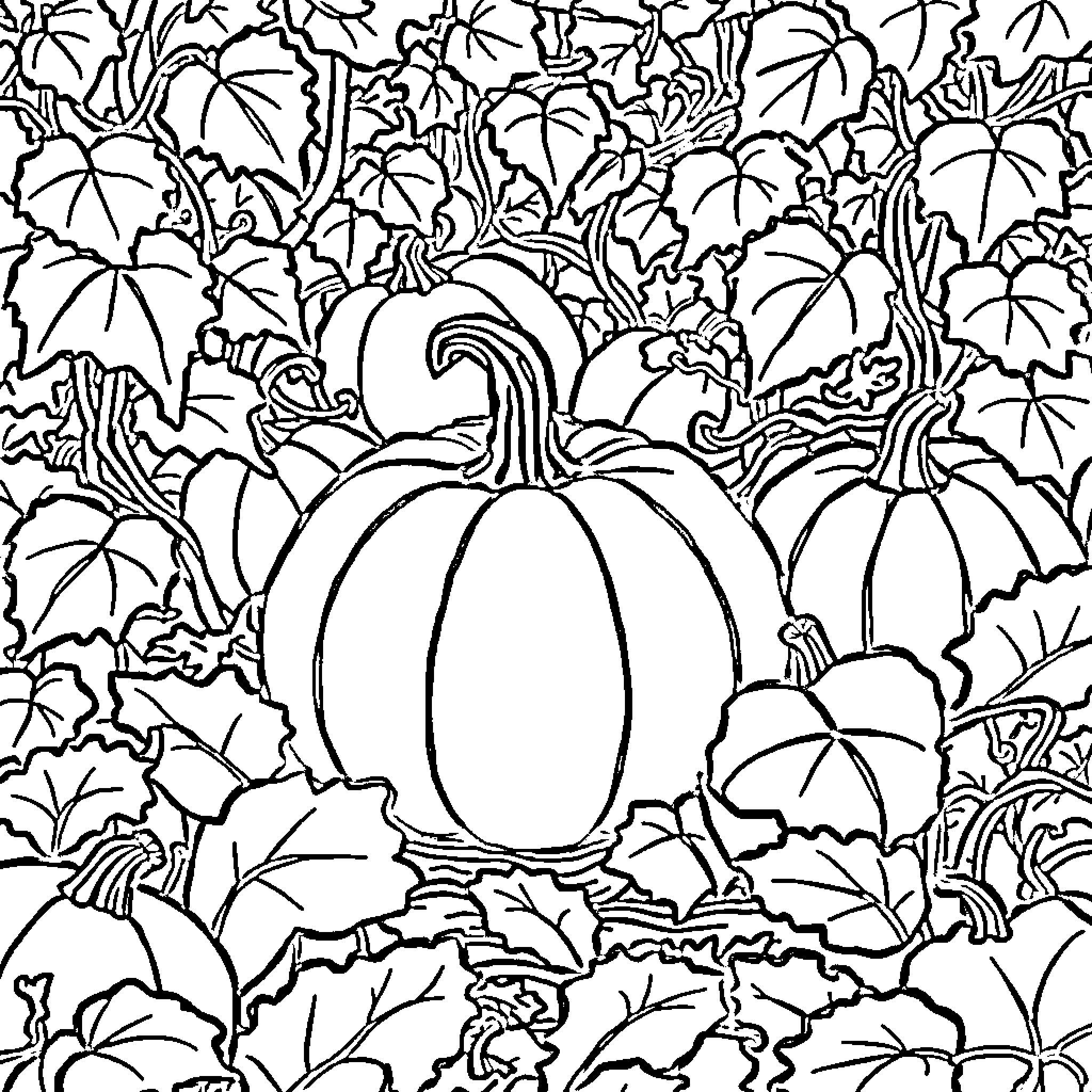 Pumpkins amongst autumn foliage Coloring Page (free black-and-white line drawing printable PDF for all, from beginners to advanced learners, including children, teens, adults, and seniors)