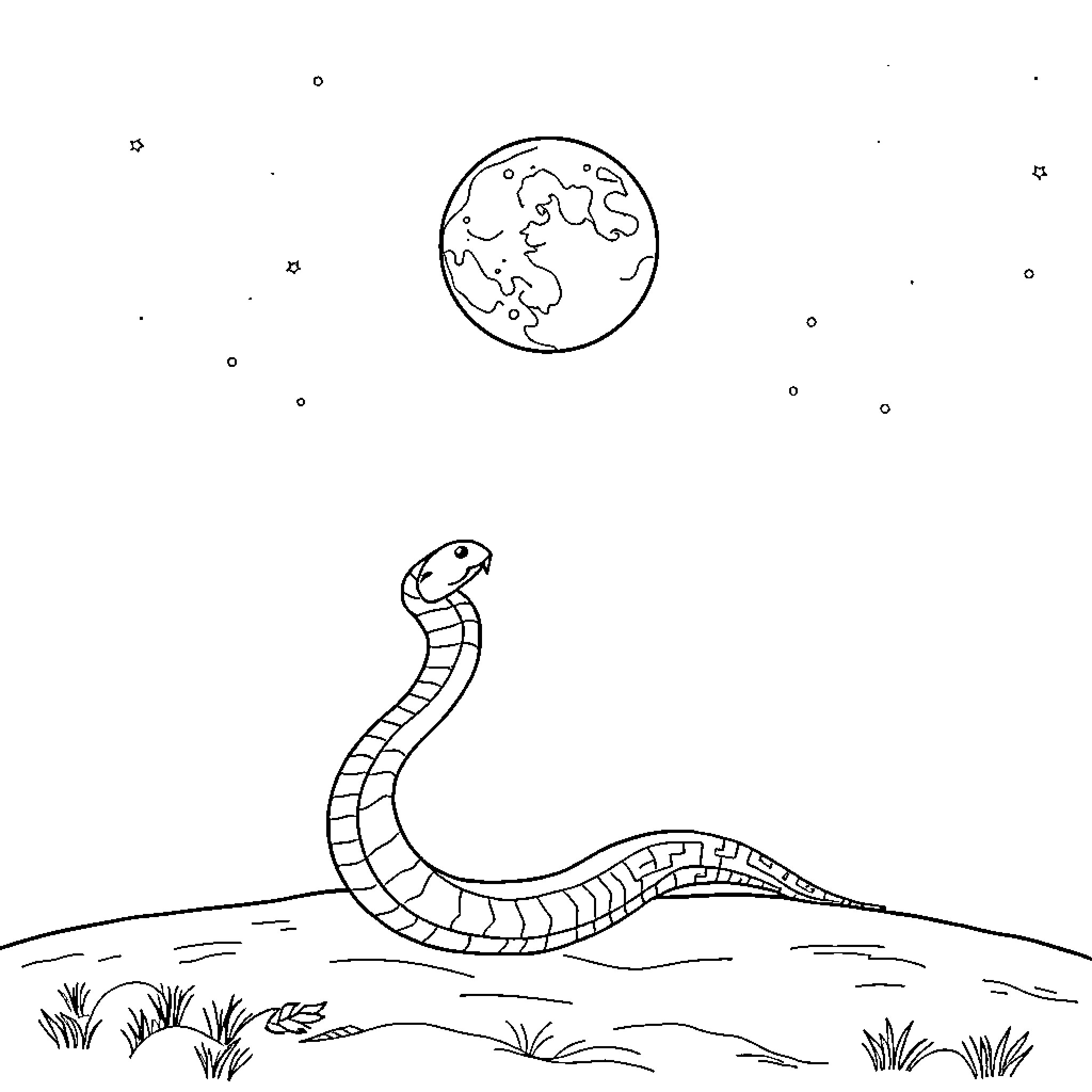 Snake slithering under the moonlight Coloring Page (free black-and-white line drawing printable PDF for all, from beginners to advanced learners, including children, teens, adults, and seniors)