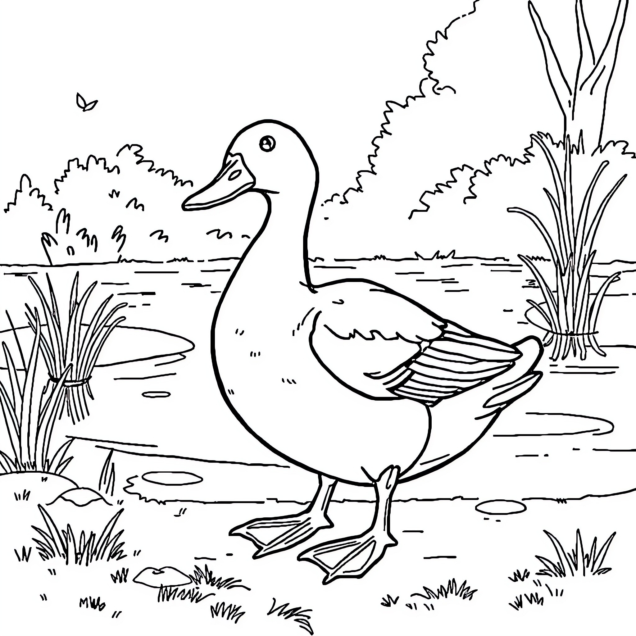 Duck wading in the pond Coloring Page (free black-and-white line drawing printable PDF for all, from beginners to advanced learners, including children, teens, adults, and seniors)