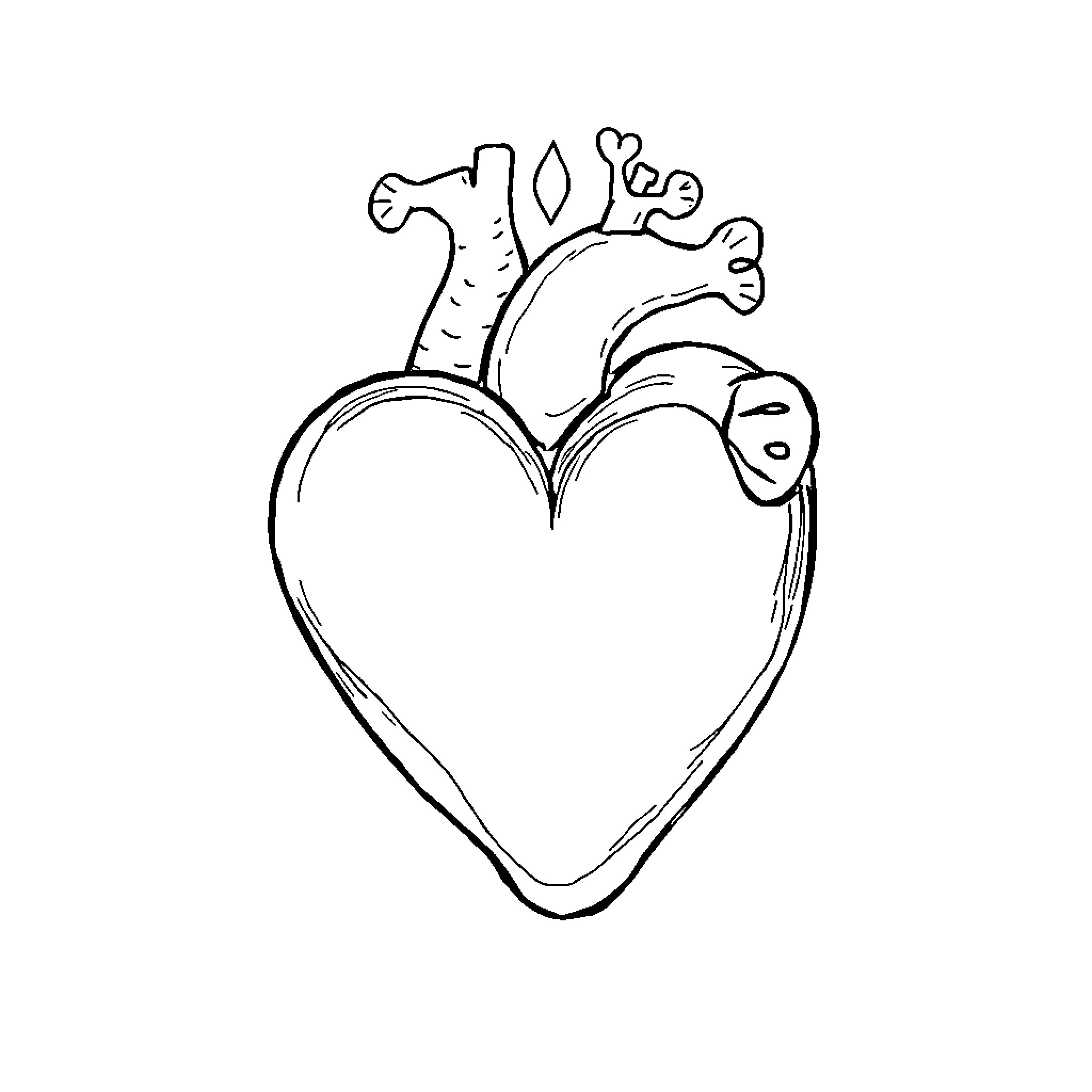 Heart Filled with Whimsical Decorations Coloring Page (free black-and-white line drawing printable PDF for all, from beginners to advanced learners, including children, teens, adults, and seniors)