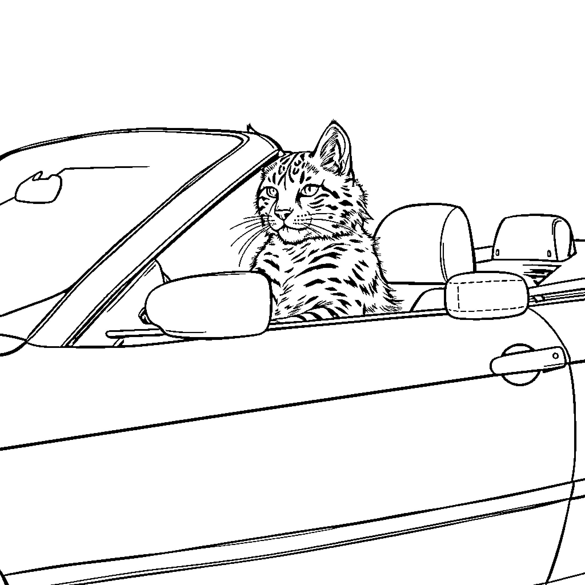 Bobcat riding in an open car Coloring Page (free black-and-white line drawing printable PDF for all, from beginners to advanced learners, including children, teens, adults, and seniors)