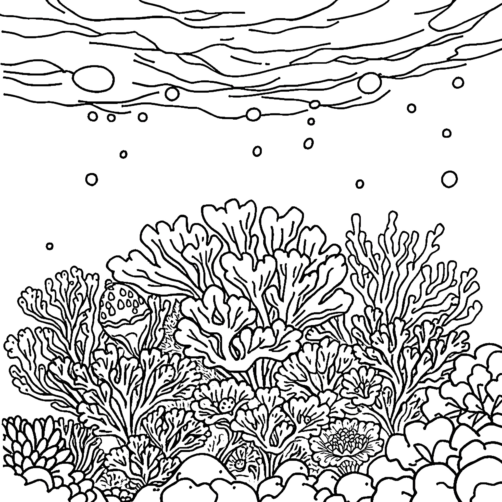 Coral reef with underwater flora and fauna Coloring Page (free black-and-white line drawing printable PDF for all, from beginners to advanced learners, including children, teens, adults, and seniors)