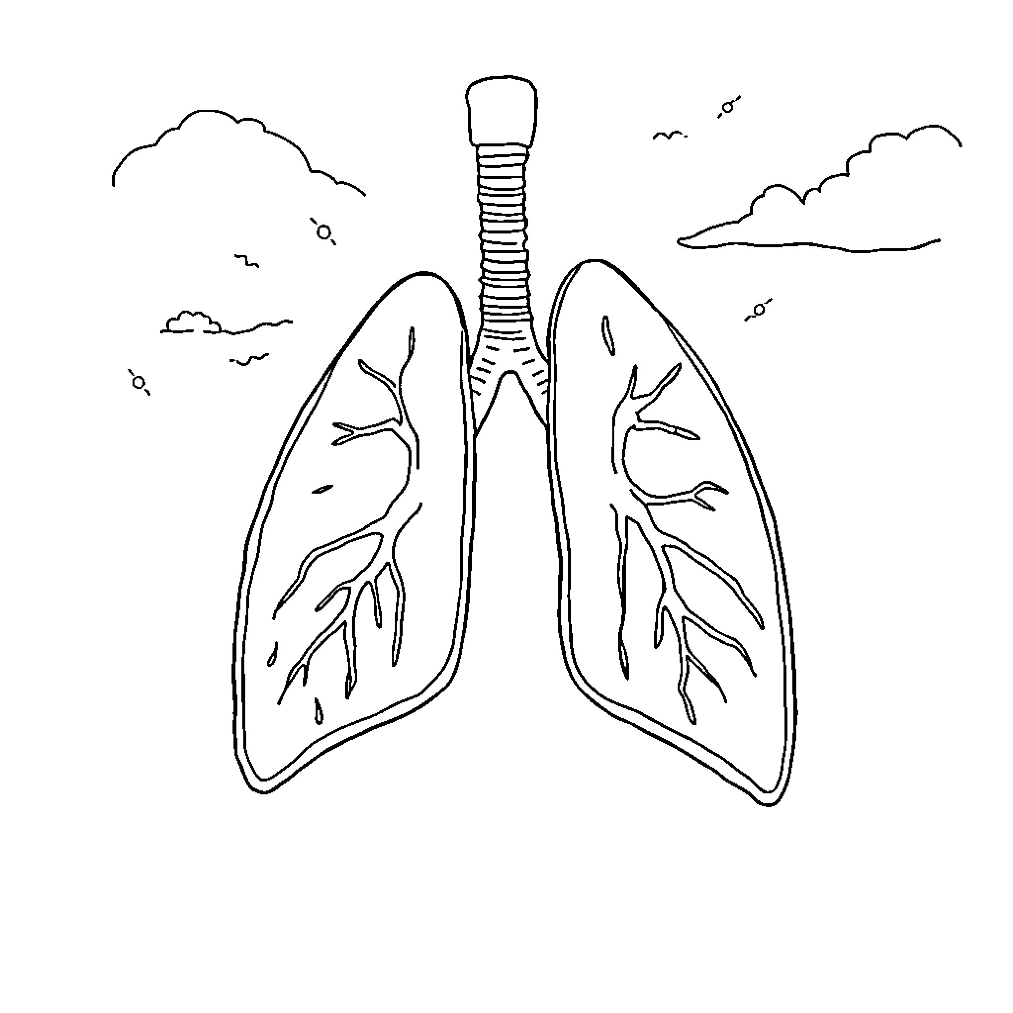 Pneumonoultramicroscopicsilicovolcanoconiosis of Healthy Lungs Coloring Page (free black-and-white line drawing printable PDF for all, from beginners to advanced learners, including children, teens, adults, and seniors)
