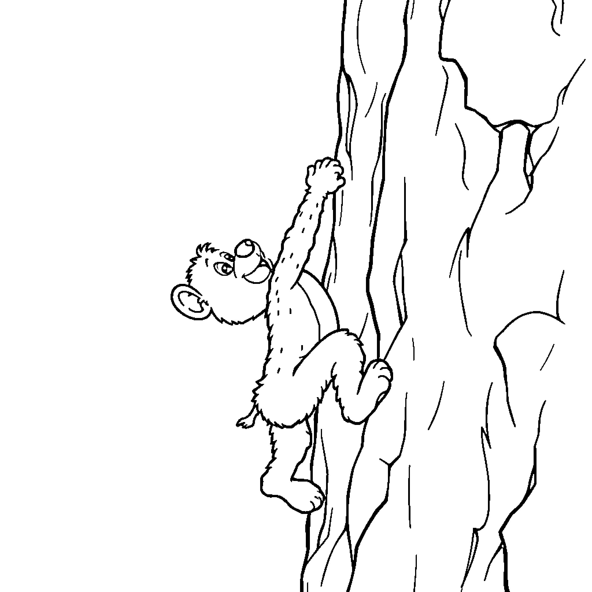 Duggie the Curious Monkey Climbing Up the Tree Coloring Page (free black-and-white line drawing printable PDF for all, from beginners to advanced learners, including children, teens, adults, and seniors)