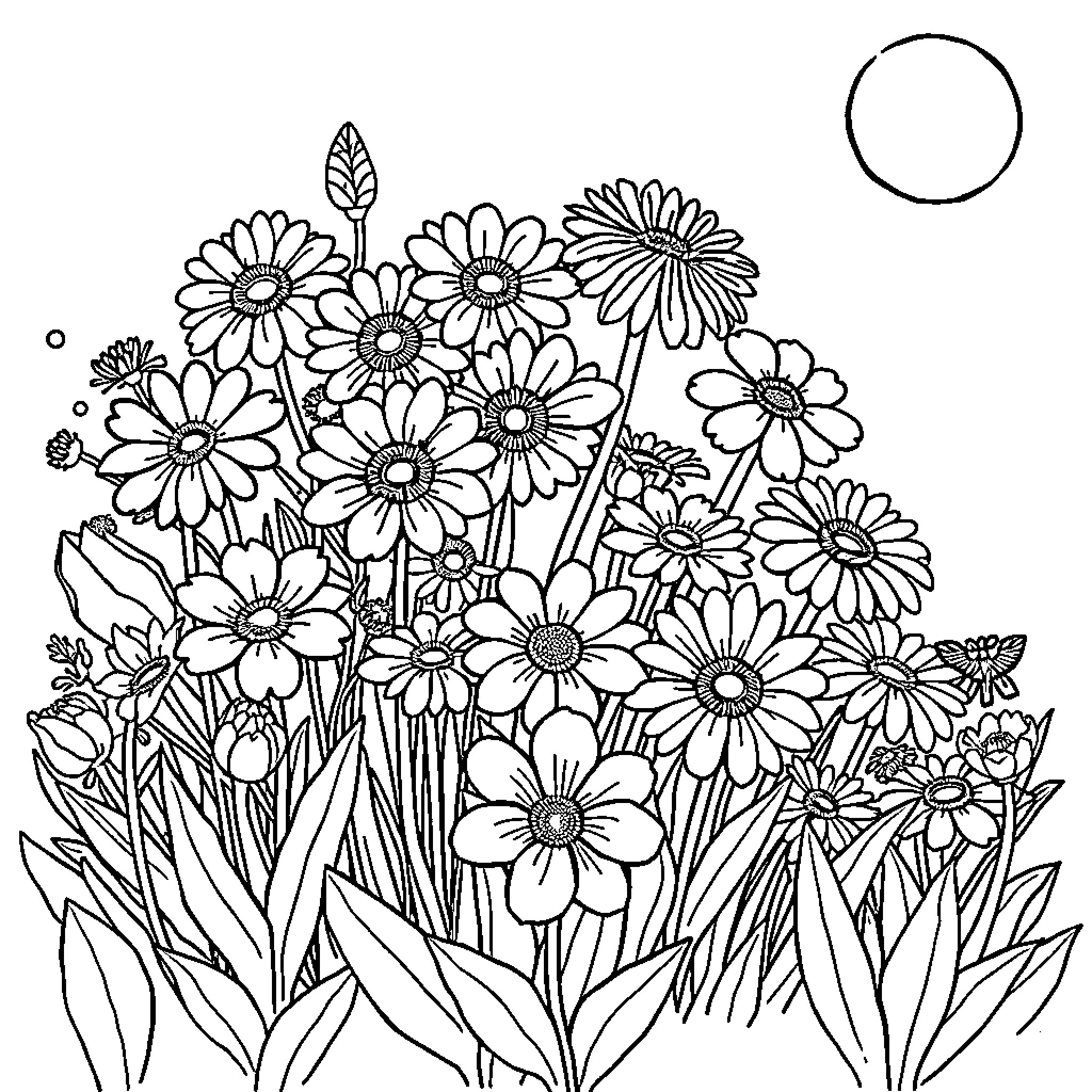Flower field with blooming daisies in the moonlight Coloring Page (free black-and-white line drawing printable PDF for all, from beginners to advanced learners, including children, teens, adults, and seniors)