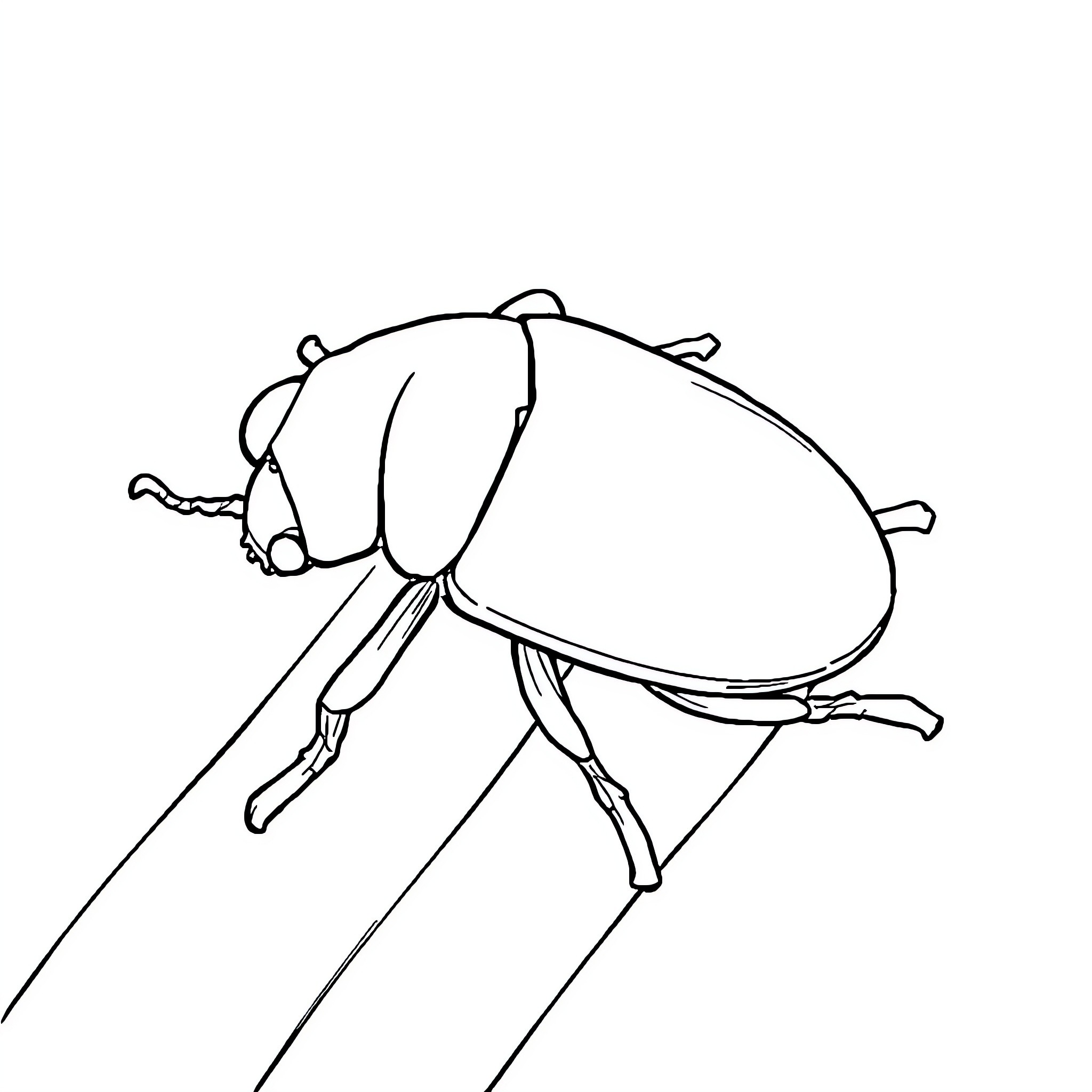 Weevil climbing up a leaf Coloring Page (free black-and-white line drawing printable PDF for all, from beginners to advanced learners, including children, teens, adults, and seniors)