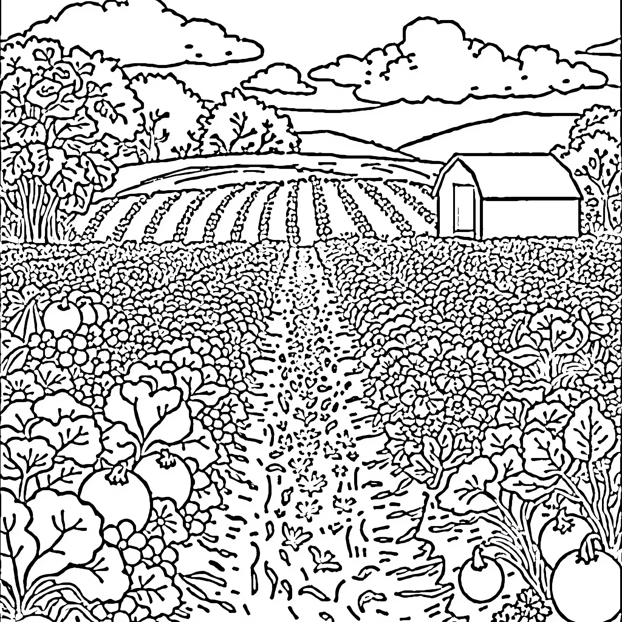 Vegetable Farm Landscape with Barn Coloring Page (free black-and-white line drawing printable PDF for all, from beginners to advanced learners, including children, teens, adults, and seniors)