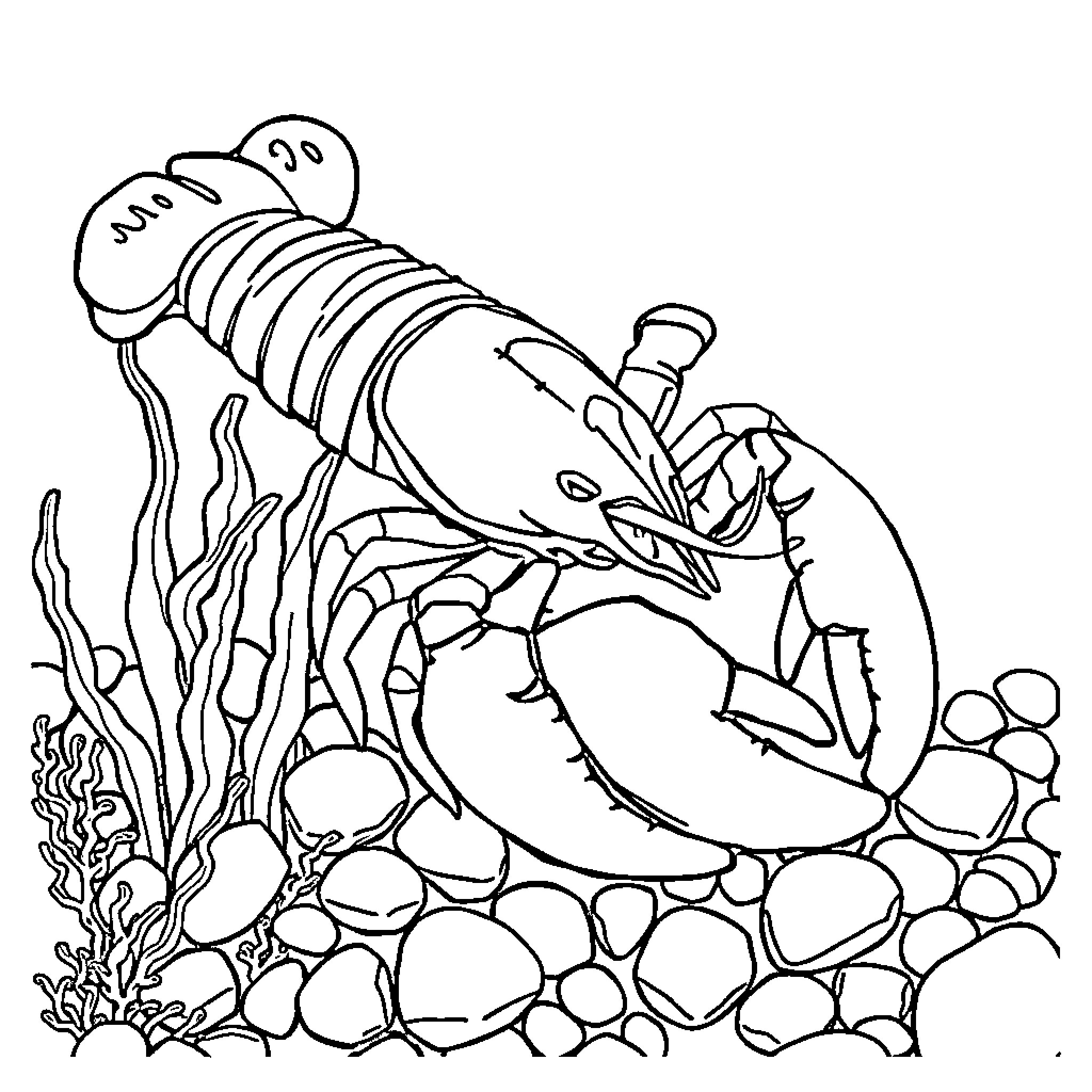 Lobster exploring the underwater rocks and plants Coloring Page (free black-and-white line drawing printable PDF for all, from beginners to advanced learners, including children, teens, adults, and seniors)