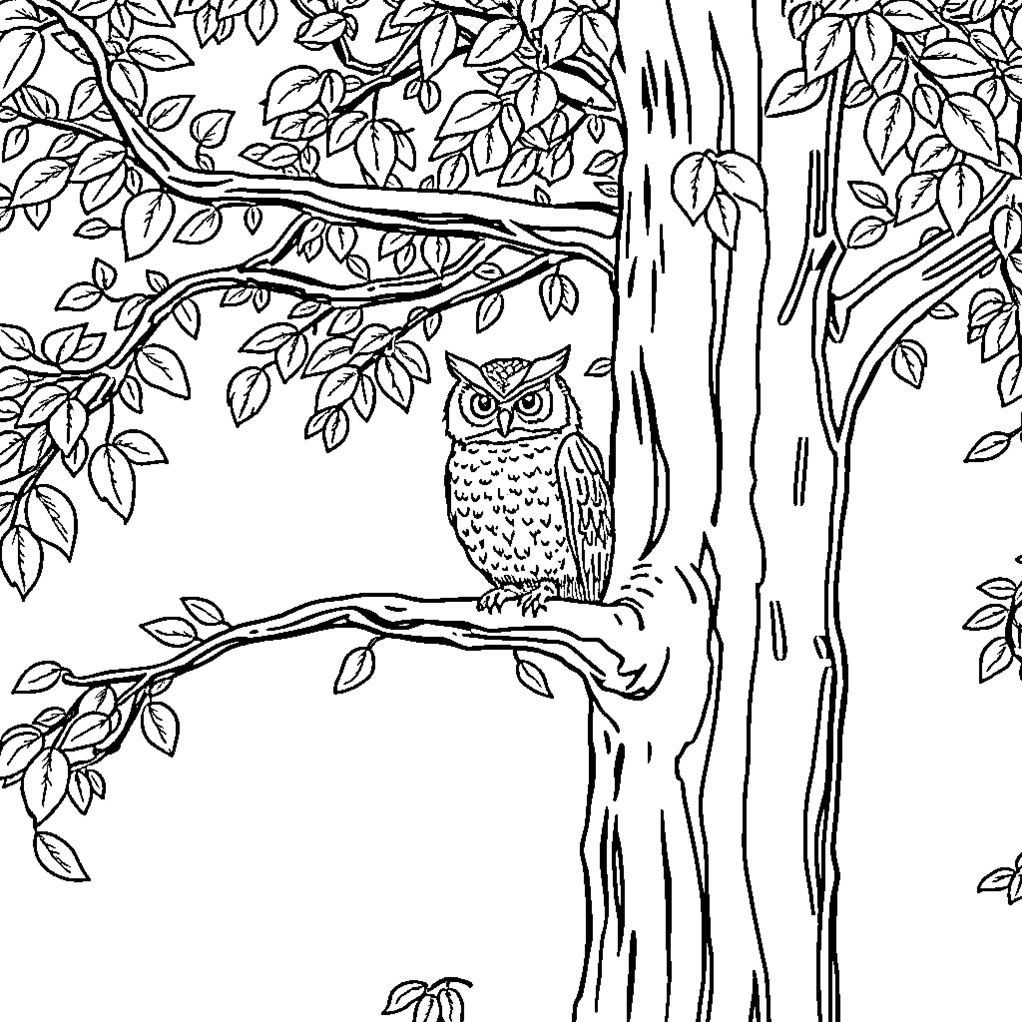 Owl perched on tree branch in woodland scene Coloring Page (free black-and-white line drawing printable PDF for all, from beginners to advanced learners, including children, teens, adults, and seniors)