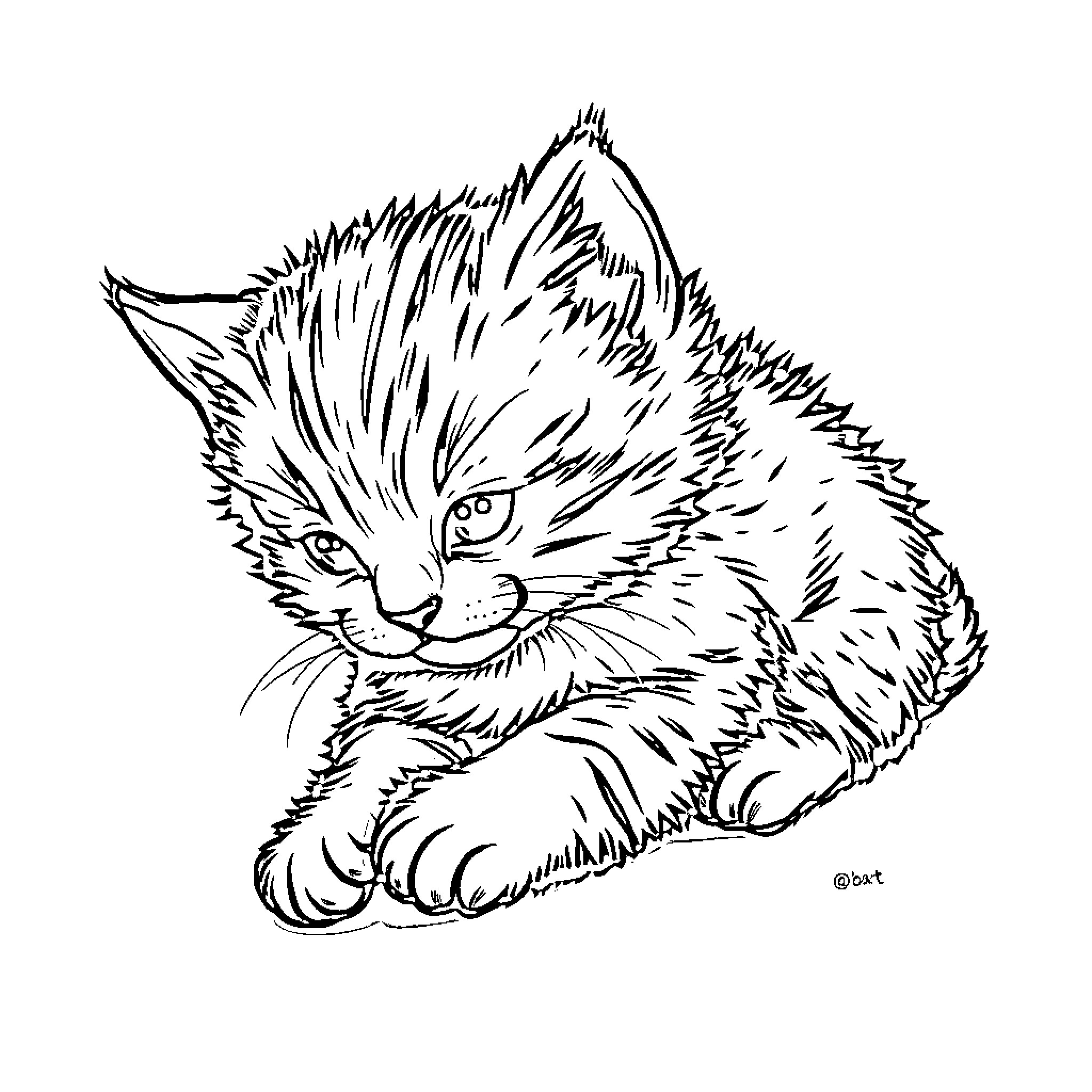 Kitten resting peacefully Coloring Page (free black-and-white line drawing printable PDF for all, from beginners to advanced learners, including children, teens, adults, and seniors)
