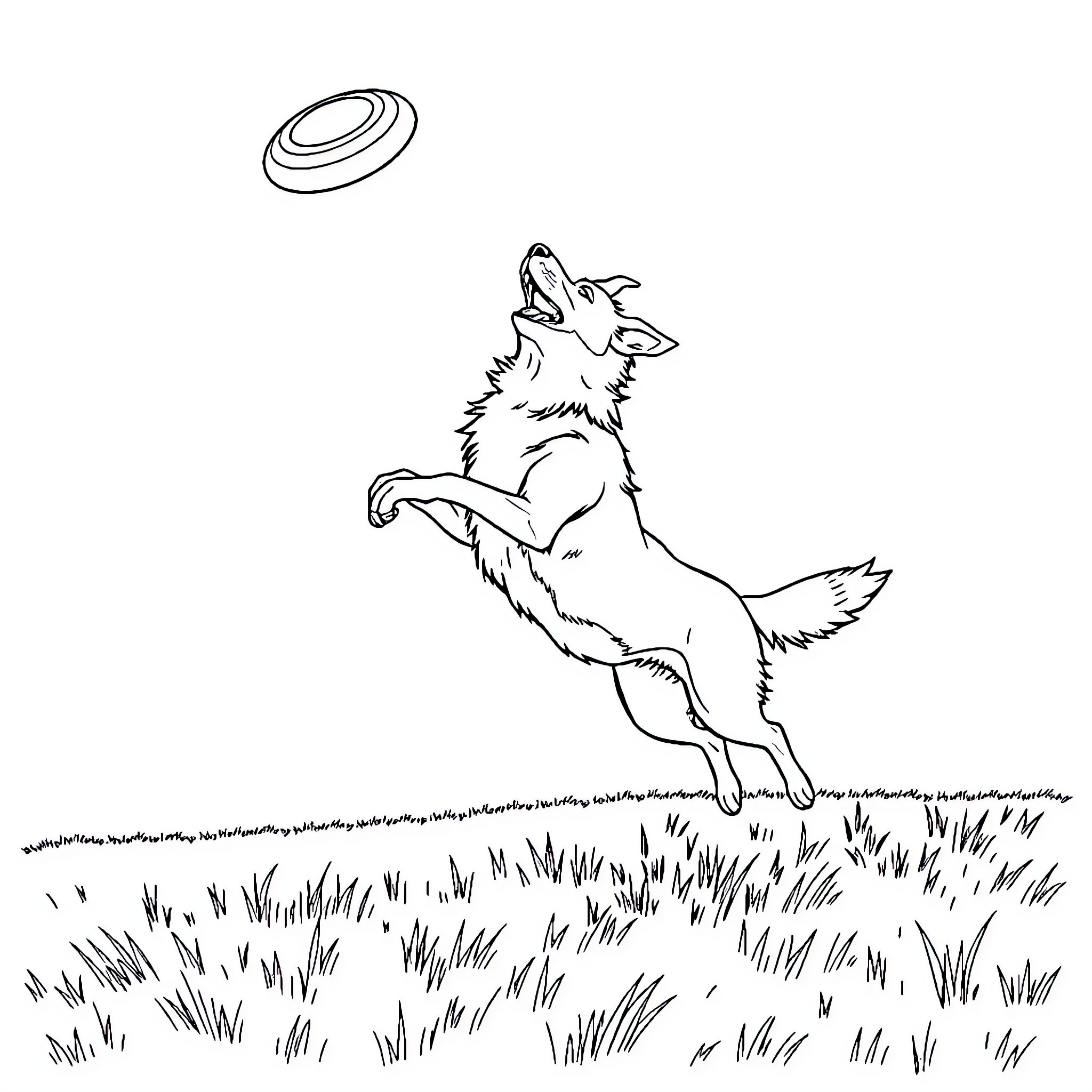 Border Collie playing with frisbee in field Coloring Page (free black-and-white line drawing printable PDF for all, from beginners to advanced learners, including children, teens, adults, and seniors)