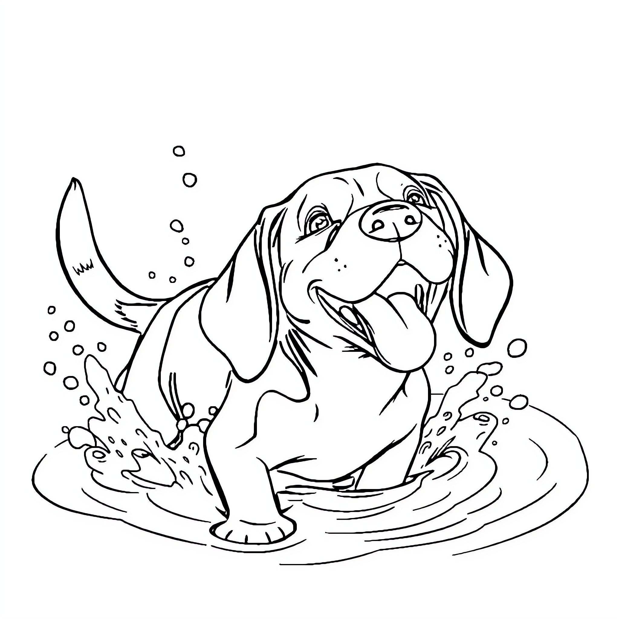 Beagle playing happily in the water Coloring Page (free black-and-white line drawing printable PDF for all, from beginners to advanced learners, including children, teens, adults, and seniors)