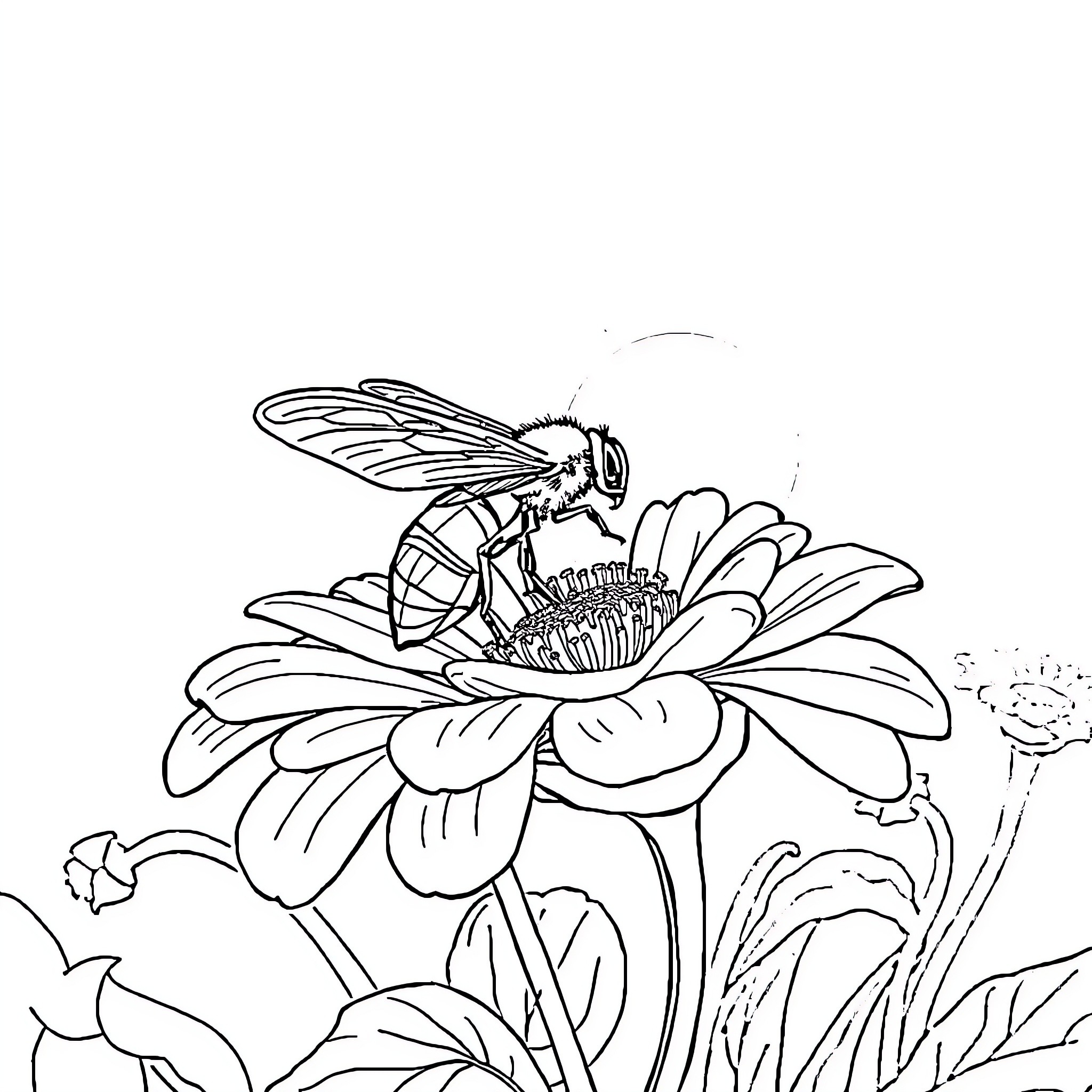Insect resting on a flower Coloring Page (free black-and-white line drawing printable PDF for all, from beginners to advanced learners, including children, teens, adults, and seniors)