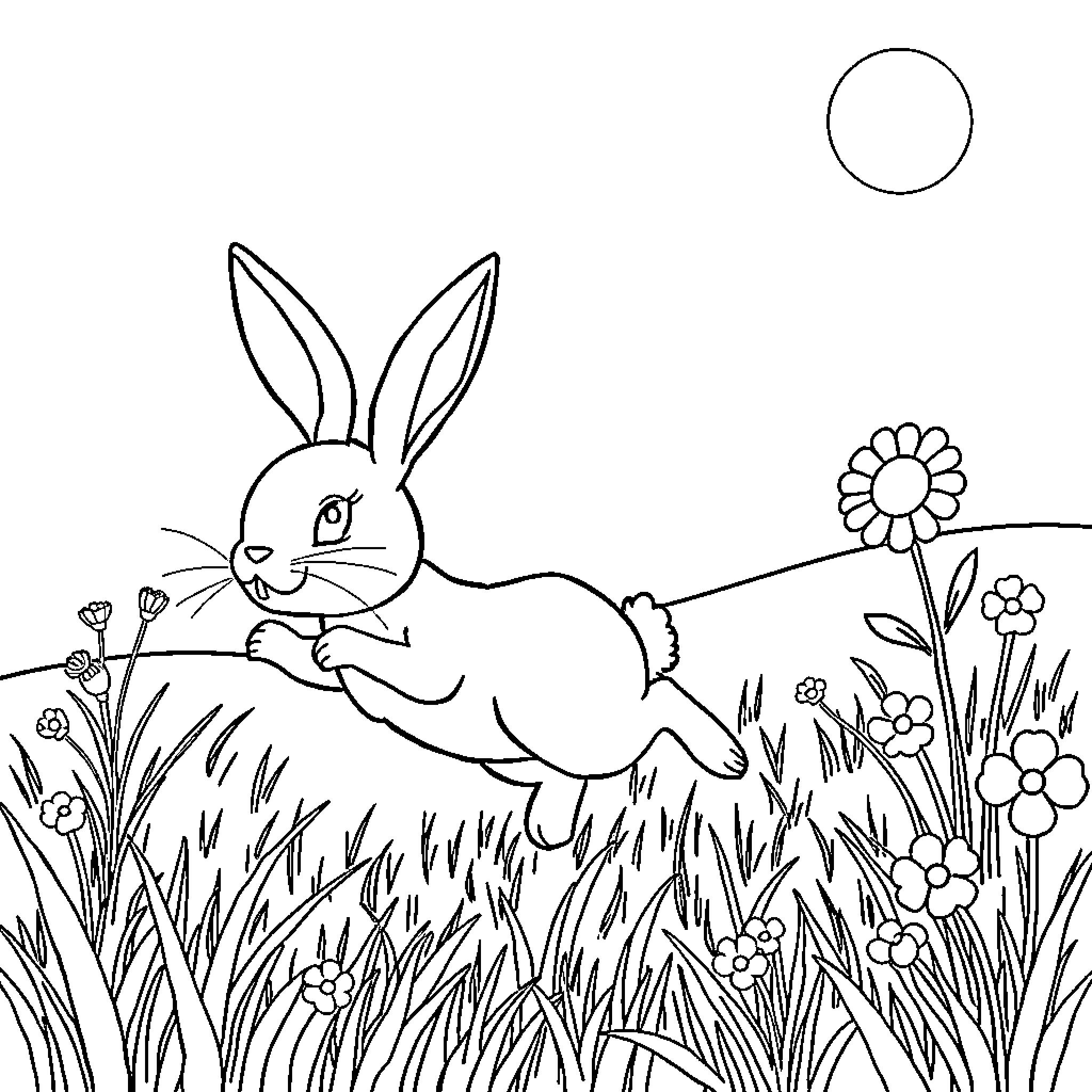 Rabbit hopping playfully through a flower field Coloring Page (free black-and-white line drawing printable PDF for all, from beginners to advanced learners, including children, teens, adults, and seniors)