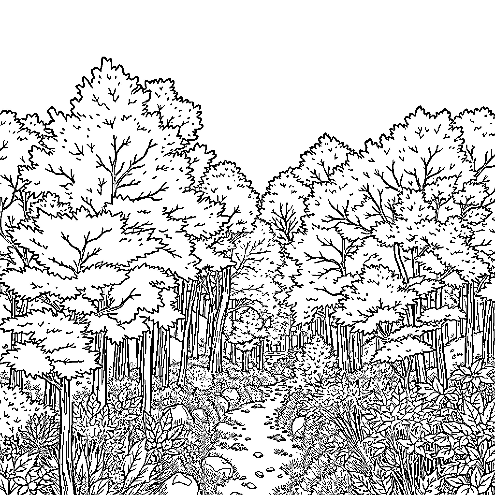 Autumn Forest Landscape with Winding Path Coloring Page (free black-and-white line drawing printable PDF for all, from beginners to advanced learners, including children, teens, adults, and seniors)