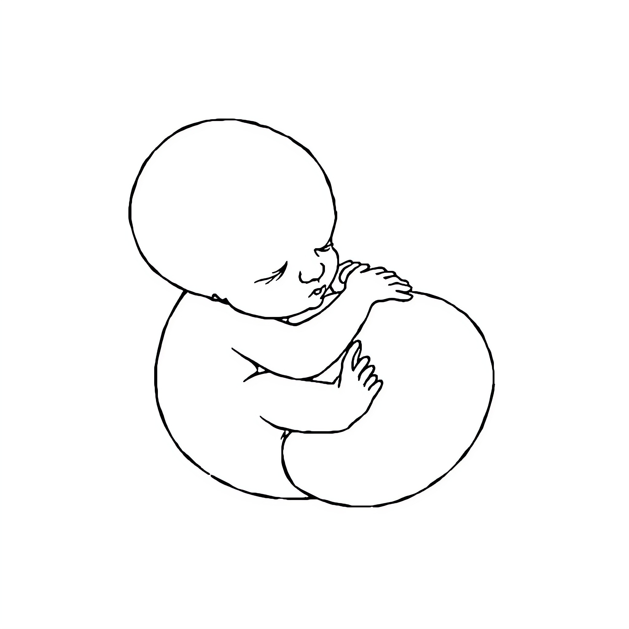 Fetus resting peacefully in the womb Coloring Page (free black-and-white line drawing printable PDF for all, from beginners to advanced learners, including children, teens, adults, and seniors)