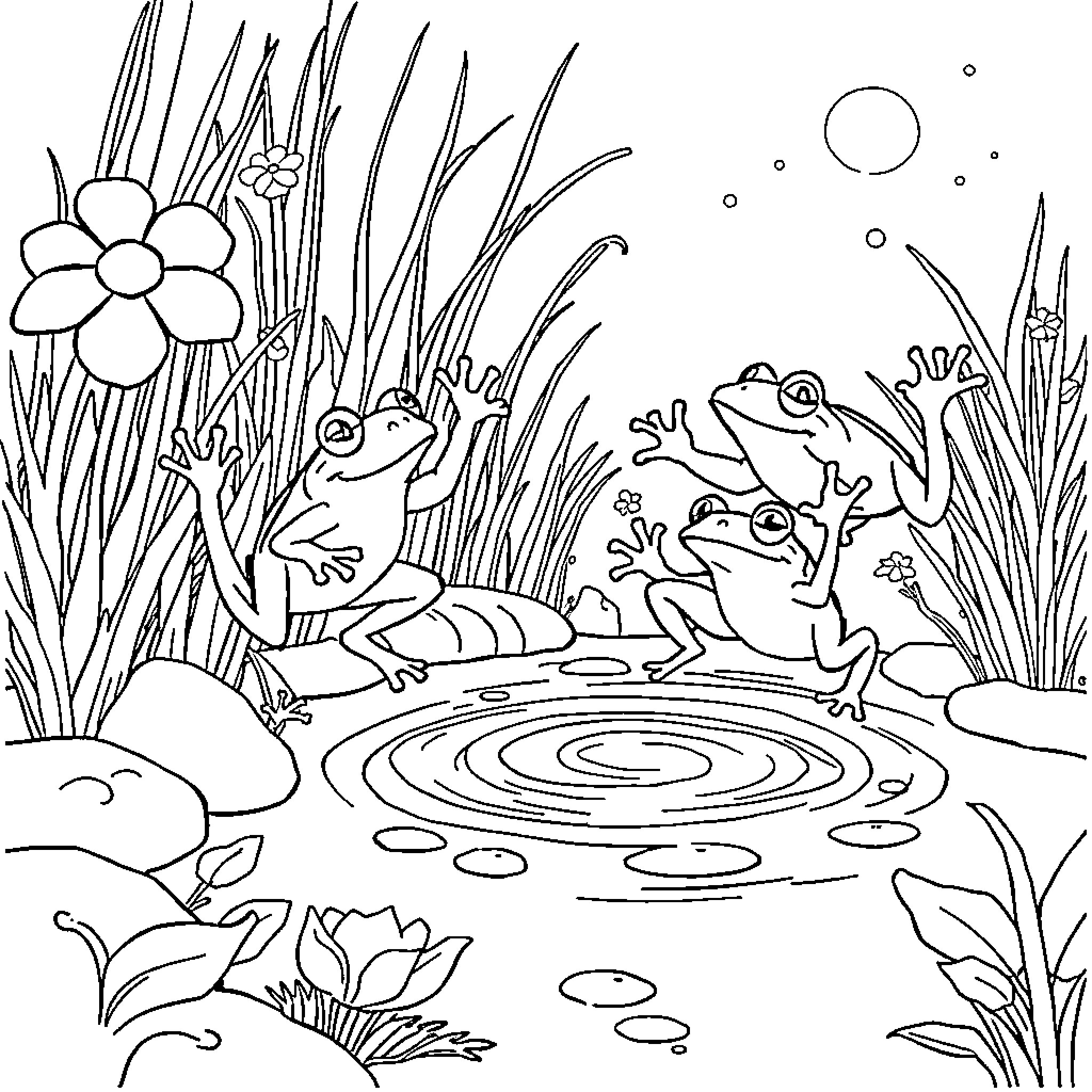 Frogs Enjoying Nature's Wonders Coloring Page (free black-and-white line drawing printable PDF for all, from beginners to advanced learners, including children, teens, adults, and seniors)