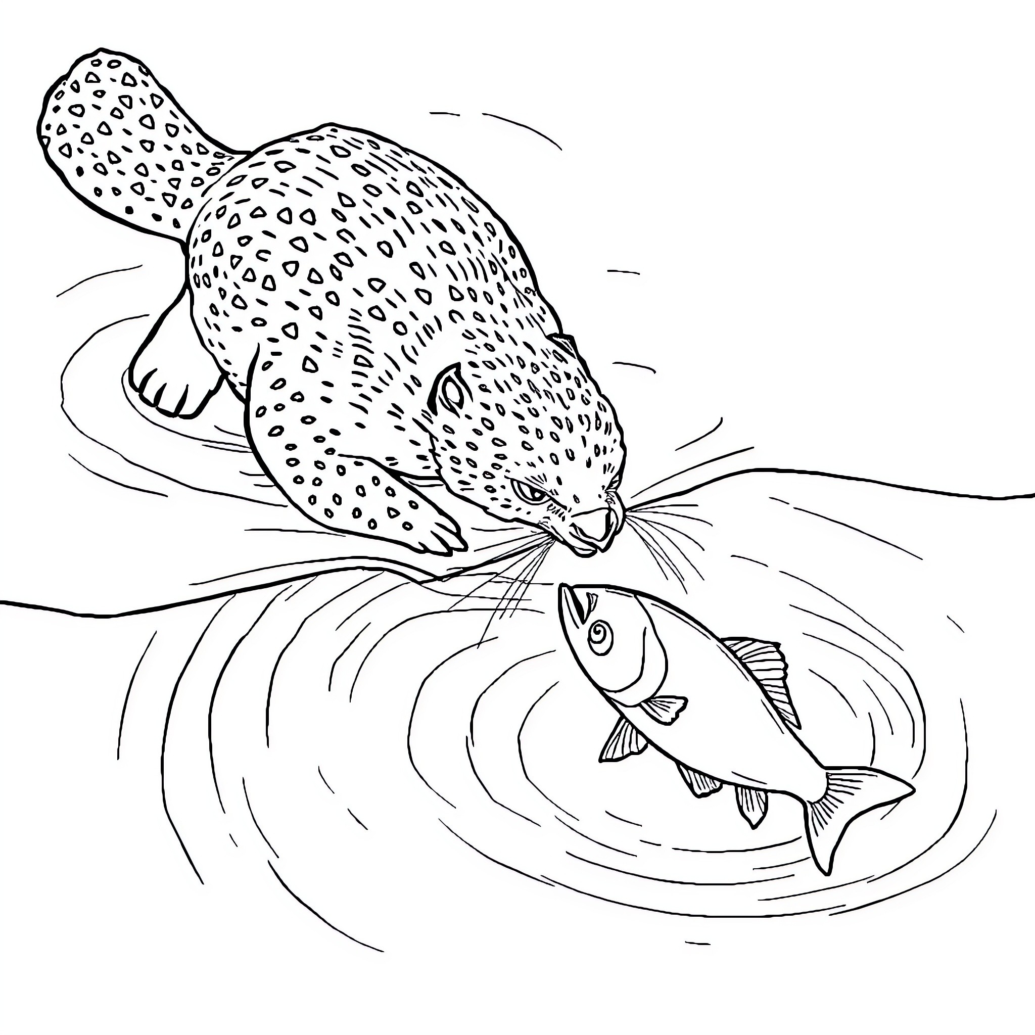 Otter hunting fish in the water Coloring Page (free black-and-white line drawing printable PDF for all, from beginners to advanced learners, including children, teens, adults, and seniors)