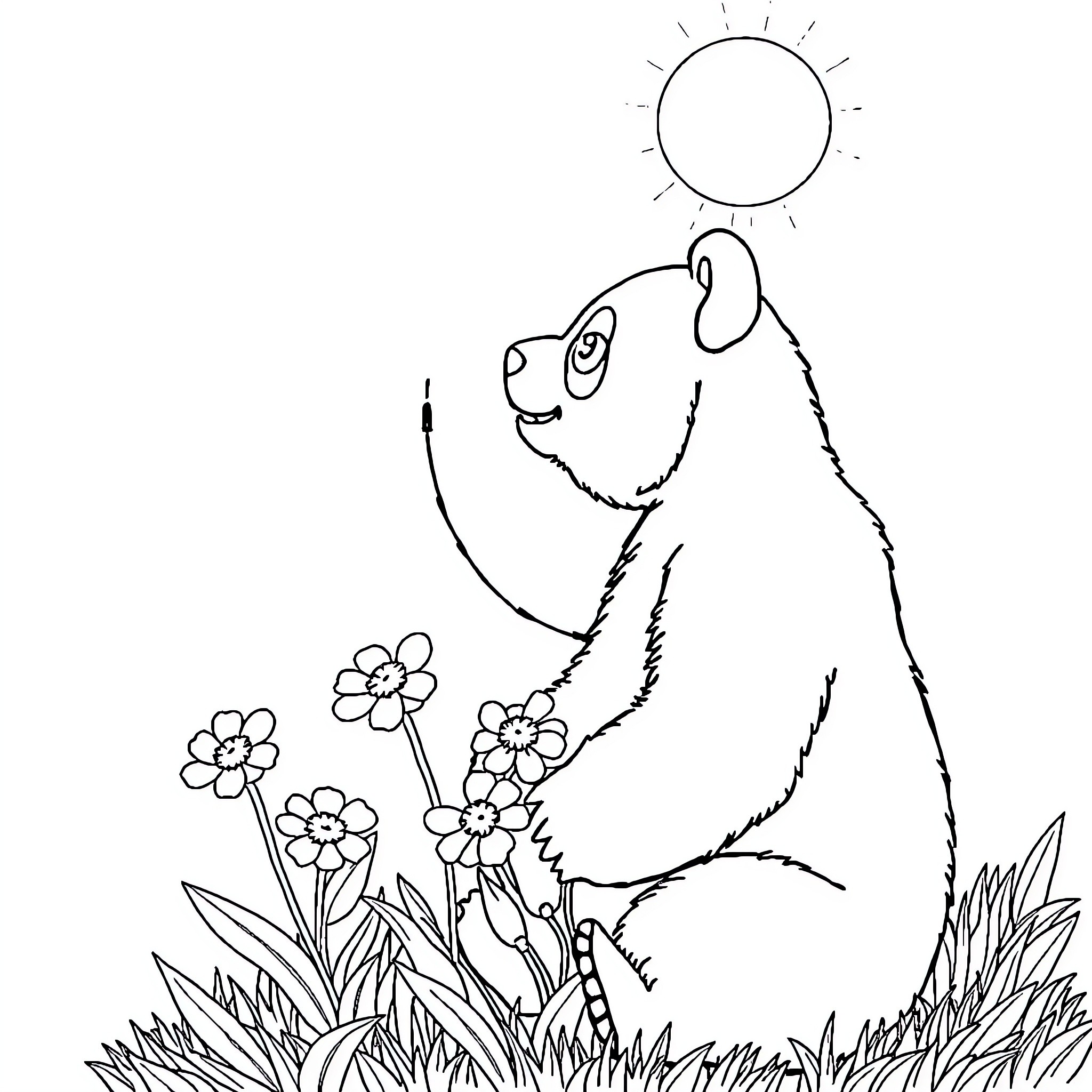 Panda exploring spring flowers in the sun Coloring Page (free black-and-white line drawing printable PDF for all, from beginners to advanced learners, including children, teens, adults, and seniors)
