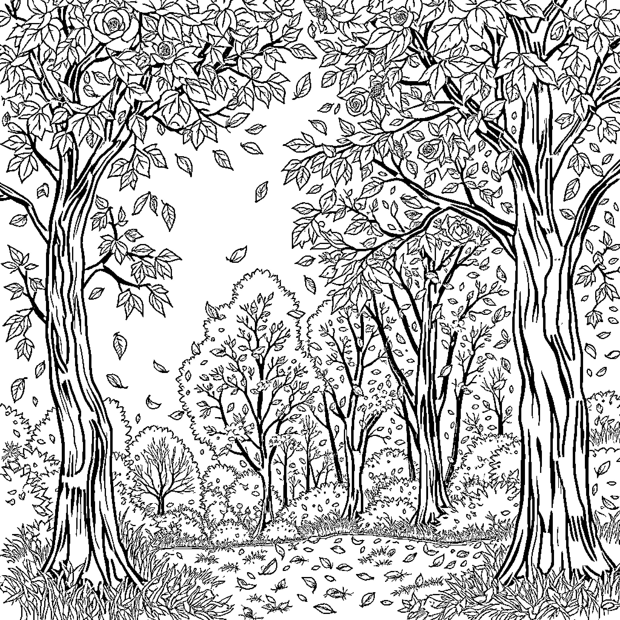 Fall forest scene with detailed trees and foliage Coloring Page (free black-and-white line drawing printable PDF for all, from beginners to advanced learners, including children, teens, adults, and seniors)