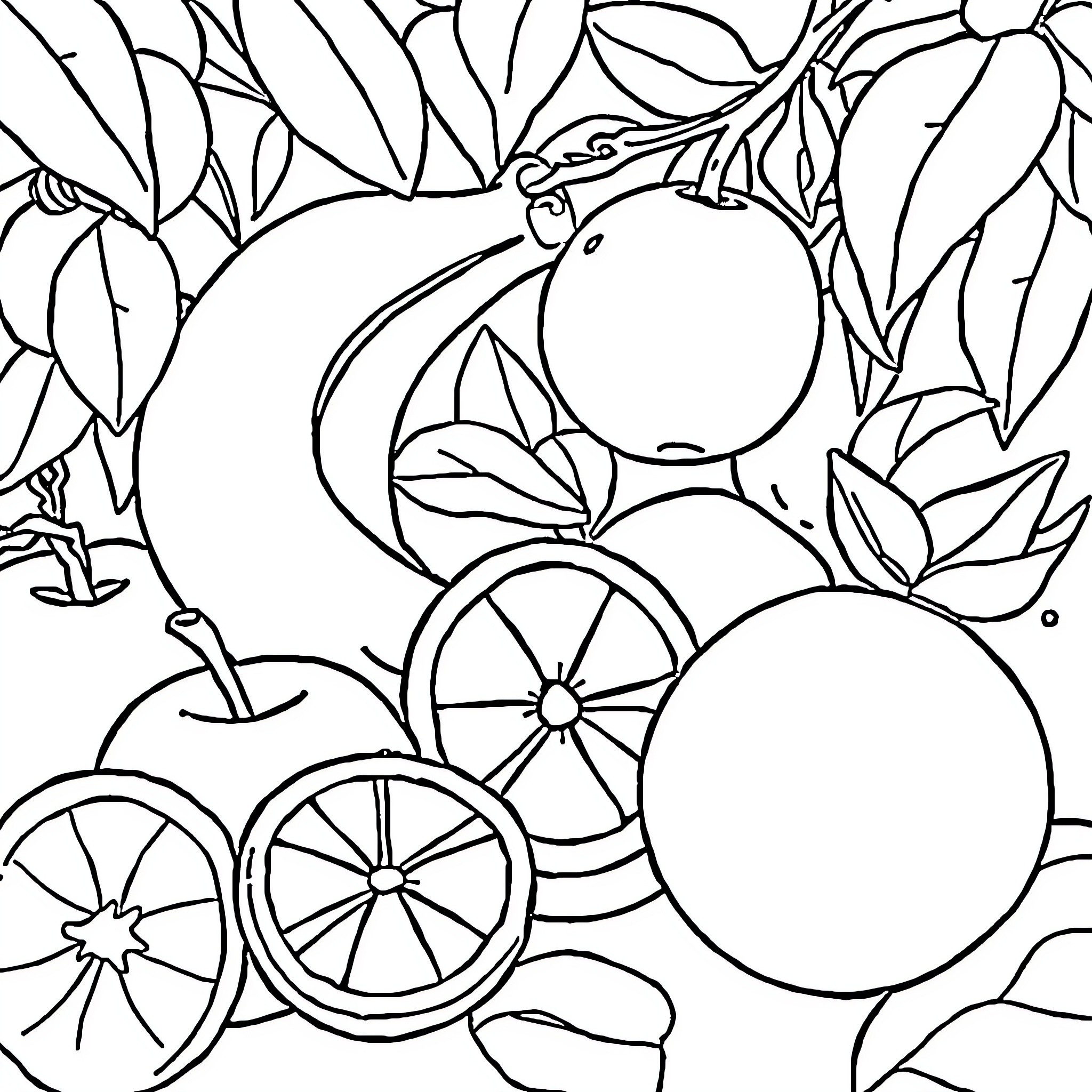 Fruit with leaves and slices in botanical scene Coloring Page (free black-and-white line drawing printable PDF for all, from beginners to advanced learners, including children, teens, adults, and seniors)