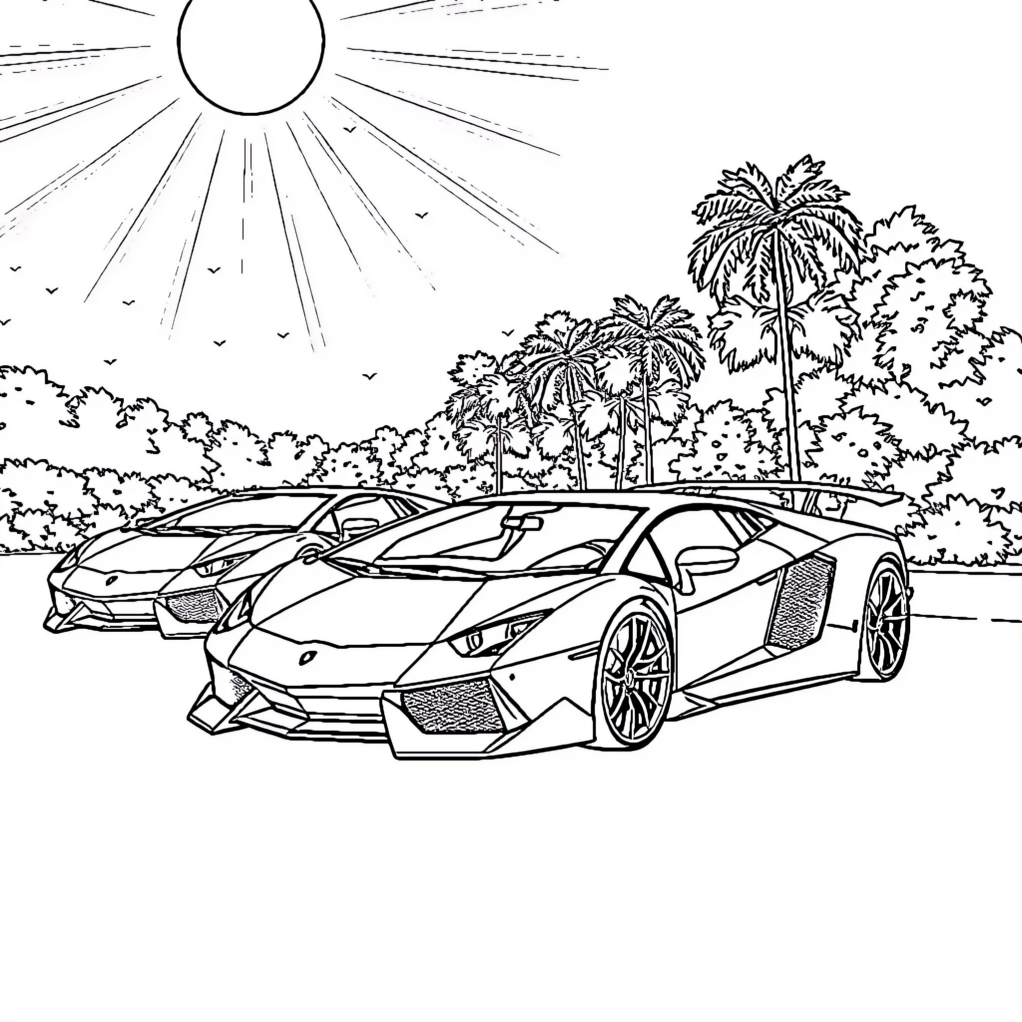 Lamborghini supercars in tropical paradise Coloring Page (free black-and-white line drawing printable PDF for all, from beginners to advanced learners, including children, teens, adults, and seniors)