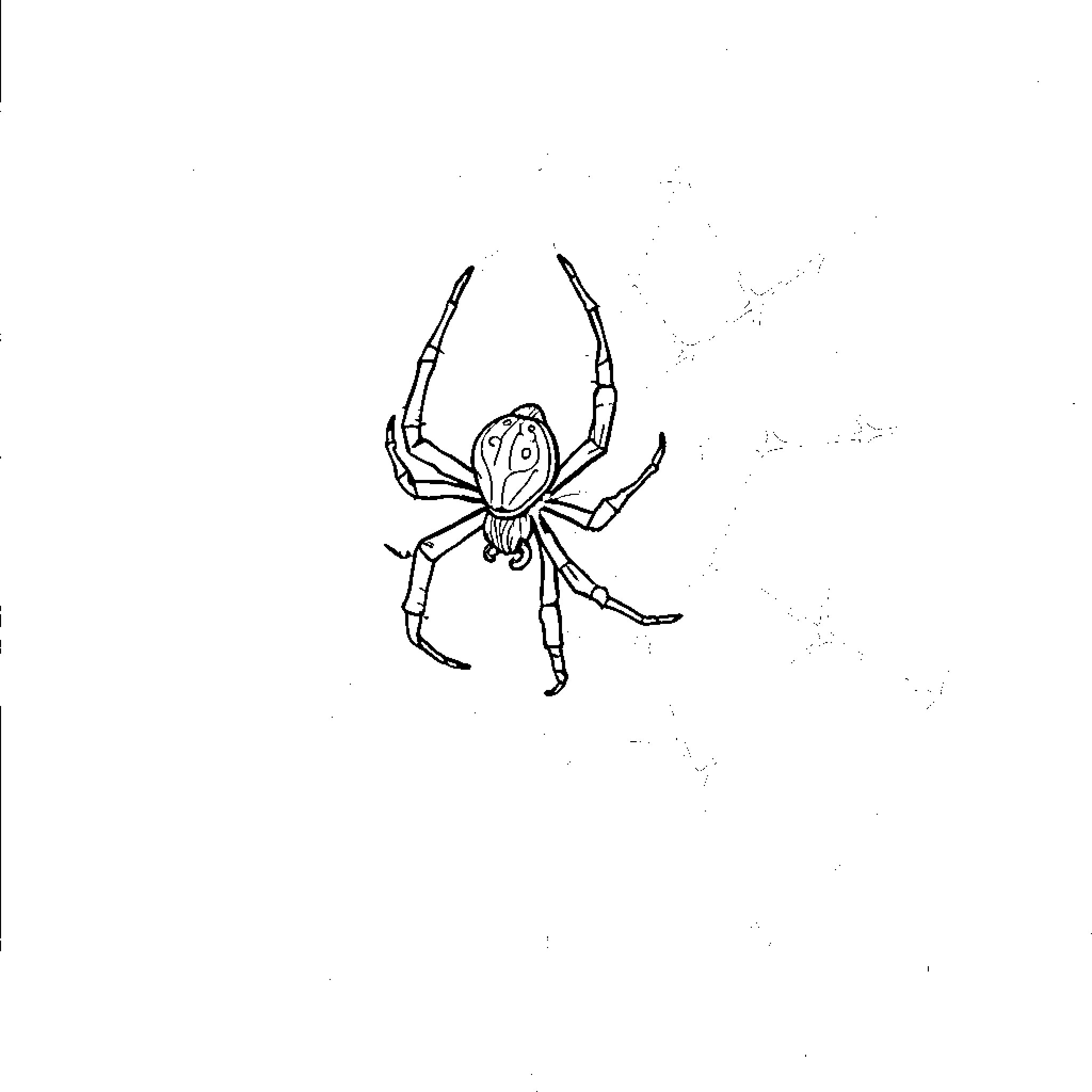 Spider crawling on a white background Coloring Page (free black-and-white line drawing printable PDF for all, from beginners to advanced learners, including children, teens, adults, and seniors)