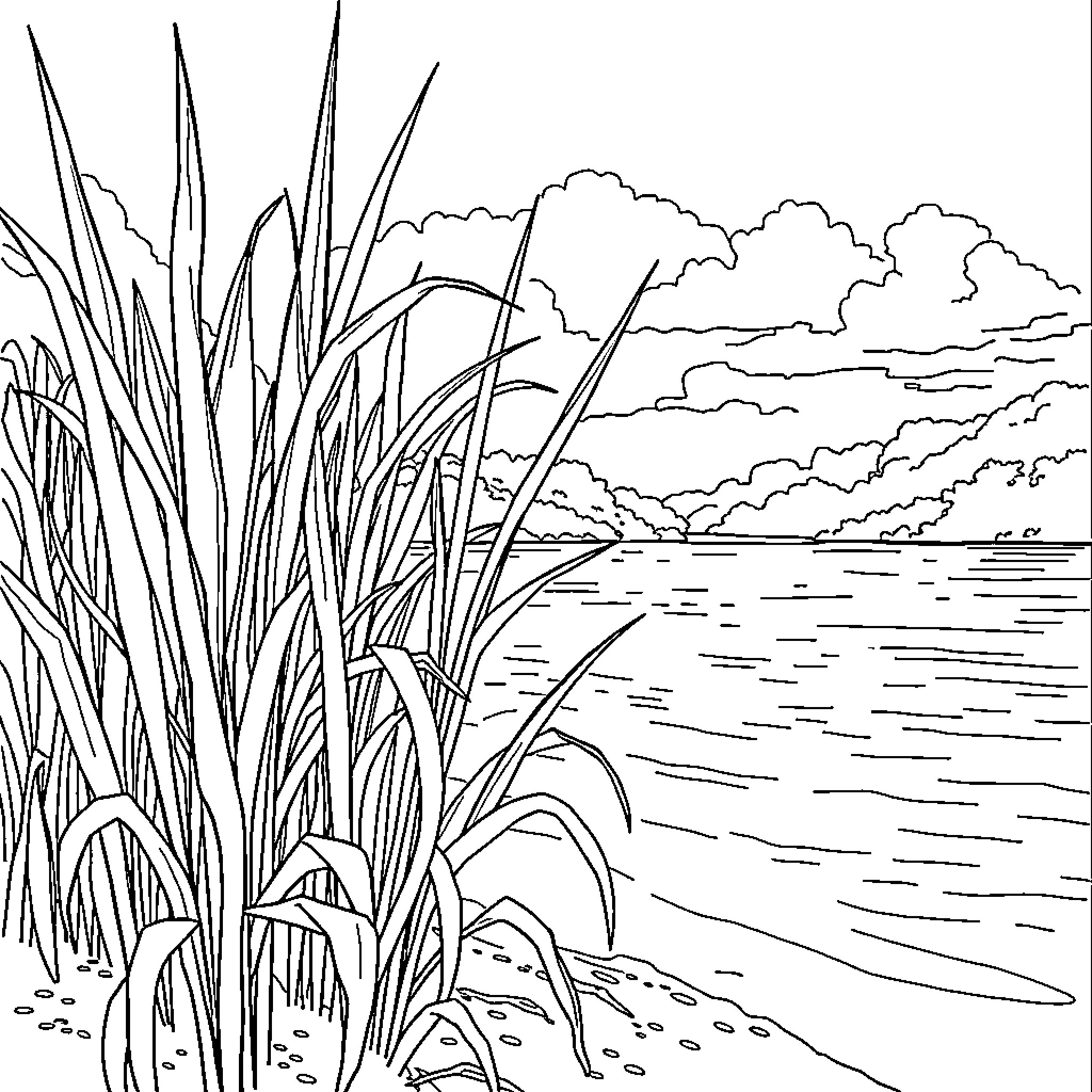 Papyrus landscape by the lakeshore Coloring Page (free black-and-white line drawing printable PDF for all, from beginners to advanced learners, including children, teens, adults, and seniors)