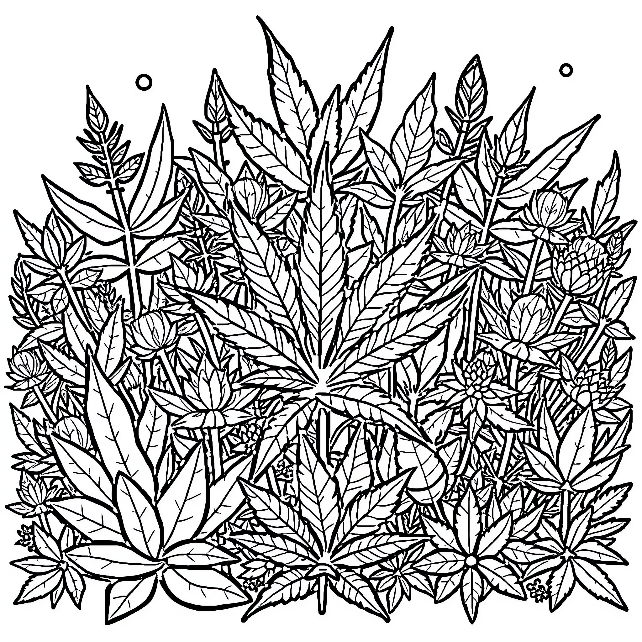 Weed plant abundance in natural environment Coloring Page (free black-and-white line drawing printable PDF for all, from beginners to advanced learners, including children, teens, adults, and seniors)