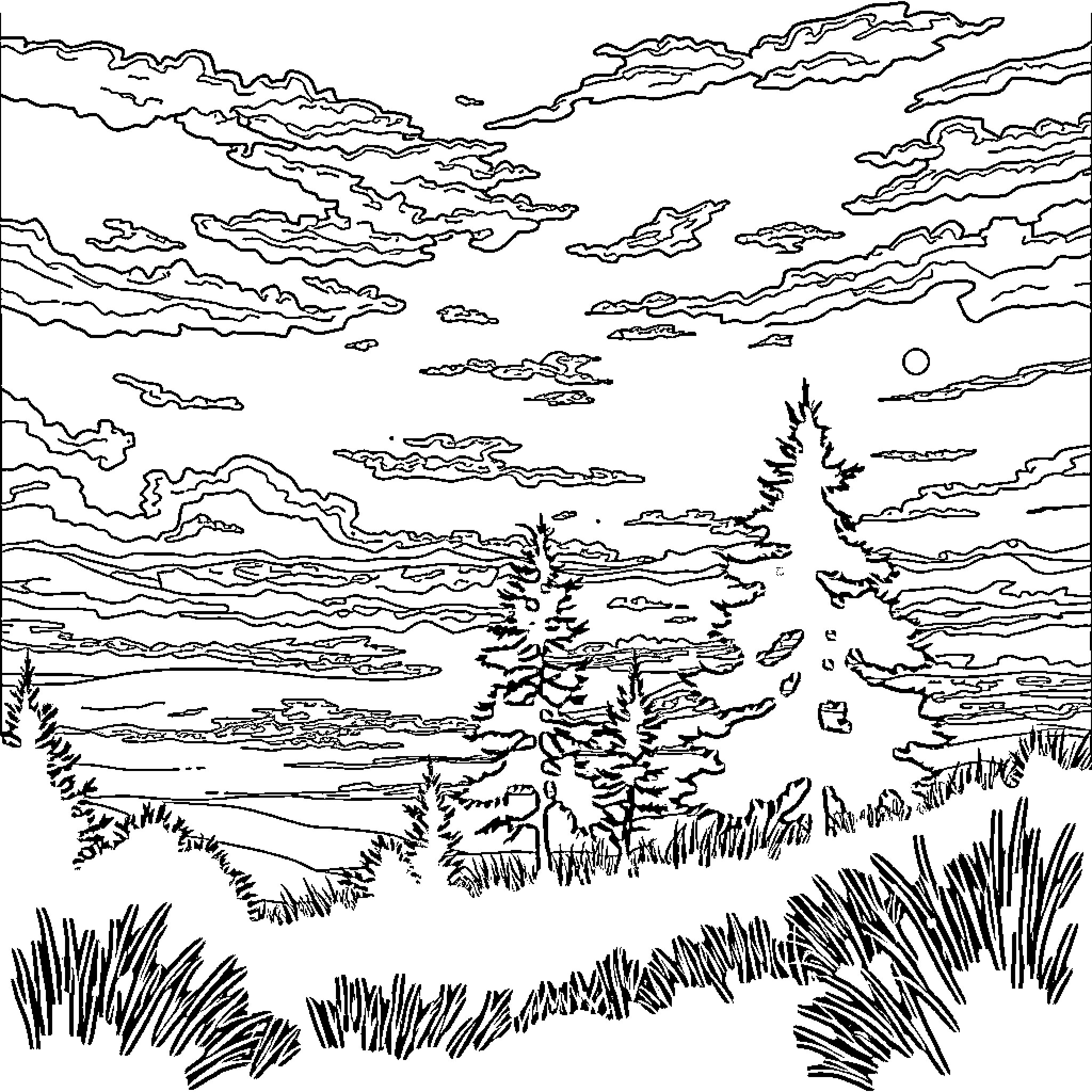 Light and Shadow of Tranquil Landscape Coloring Page (free black-and-white line drawing printable PDF for all, from beginners to advanced learners, including children, teens, adults, and seniors)