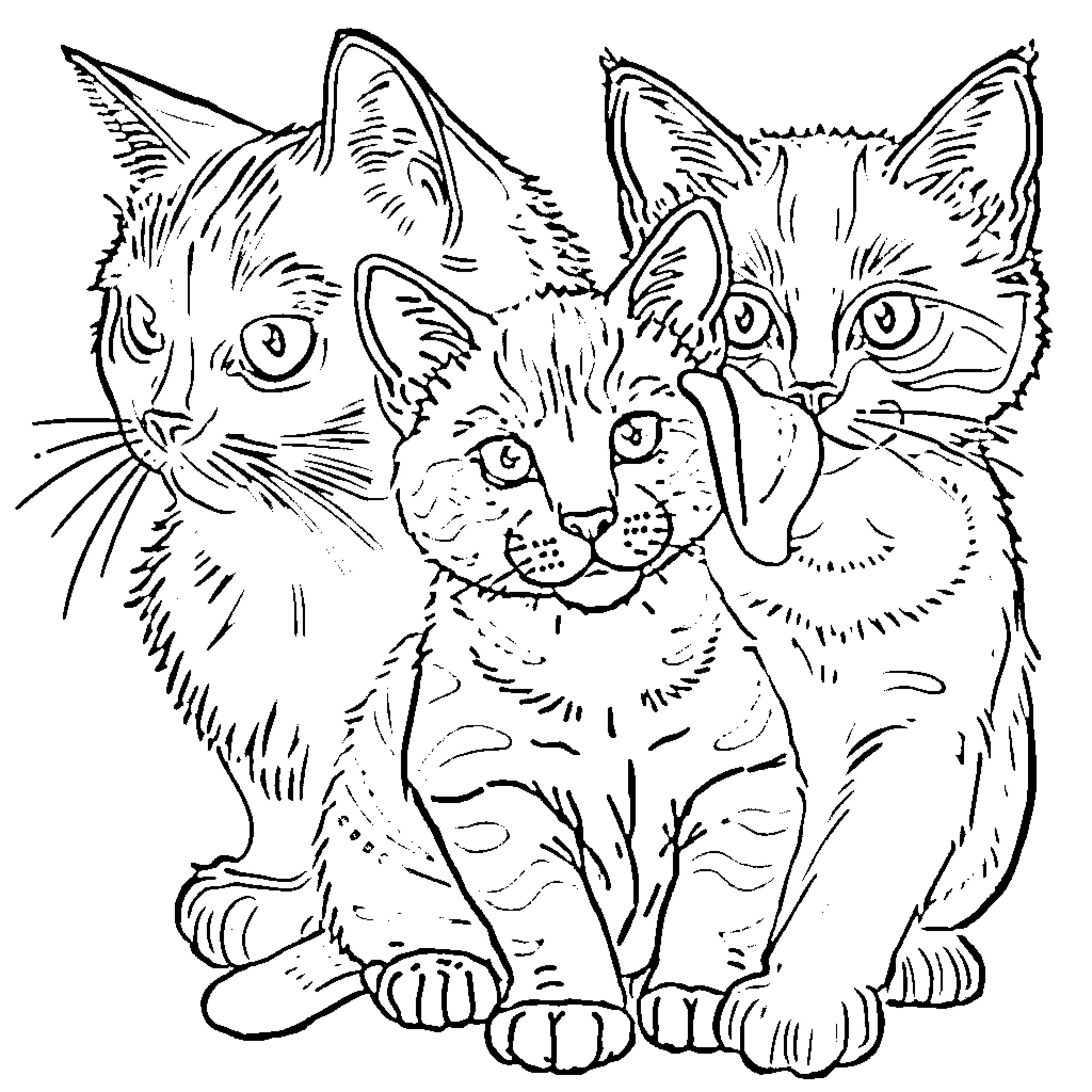 Cat Family Portraits Coloring Page (free black-and-white line drawing printable PDF for all, from beginners to advanced learners, including children, teens, adults, and seniors)