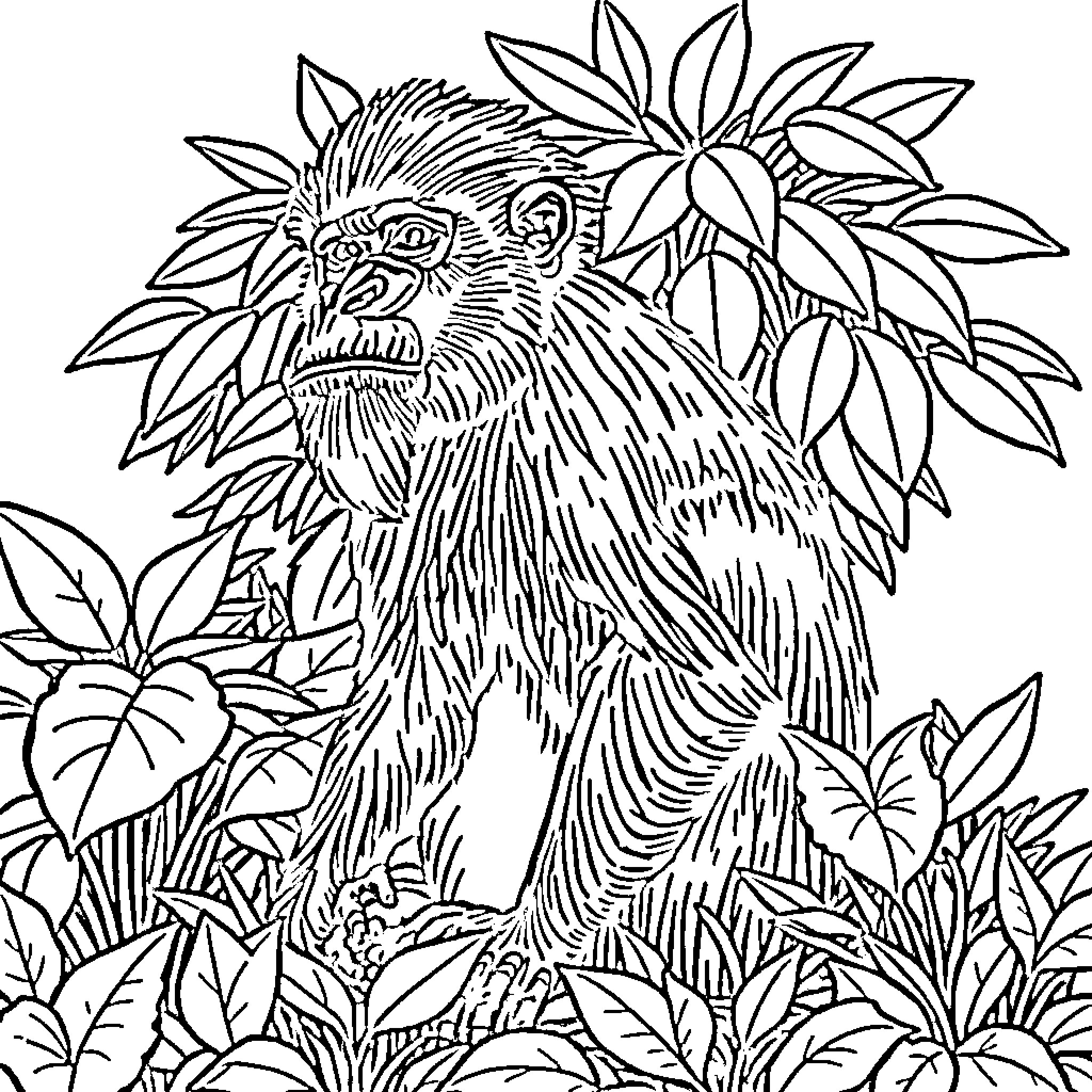 Mandrill exploring a lush, tropical foliage Coloring Page (free black-and-white line drawing printable PDF for all, from beginners to advanced learners, including children, teens, adults, and seniors)
