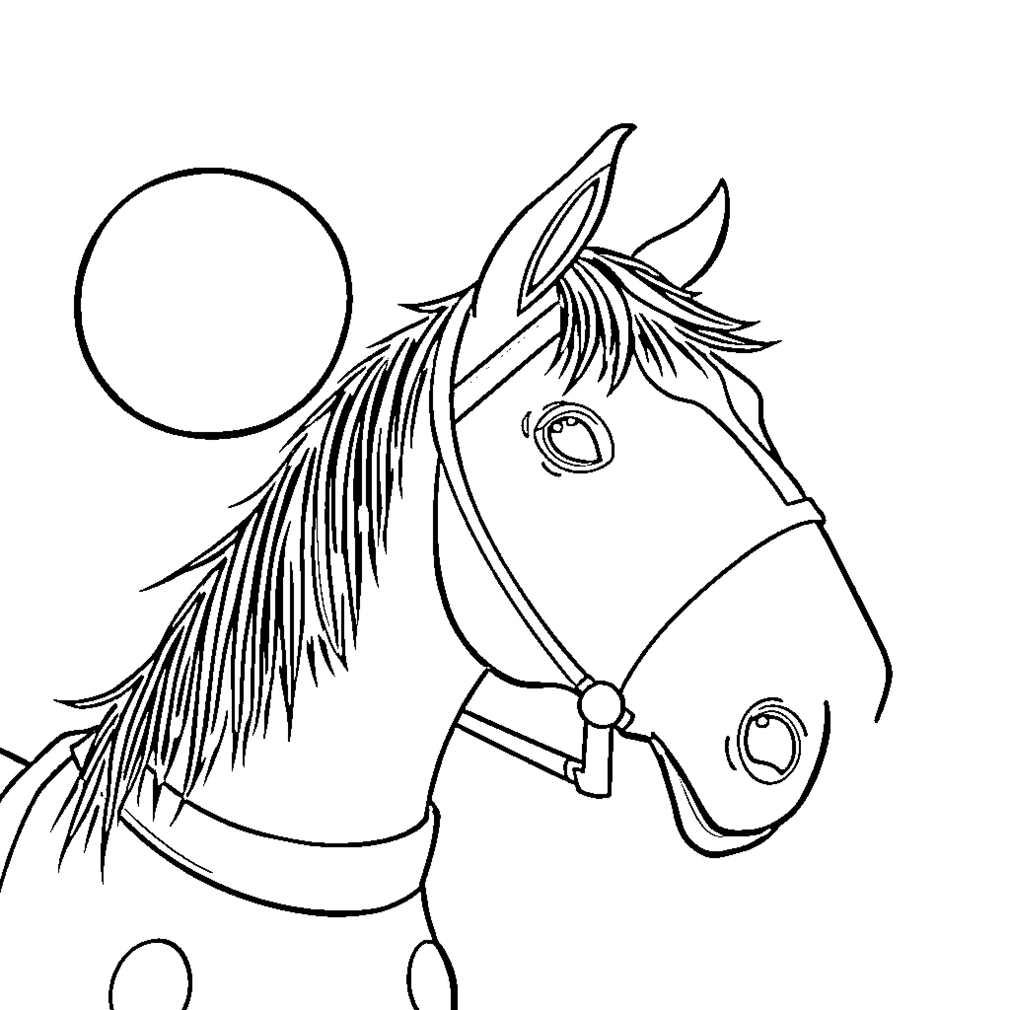 Horse with Flowing Mane and Halter Coloring Page (free black-and-white line drawing printable PDF for all, from beginners to advanced learners, including children, teens, adults, and seniors)