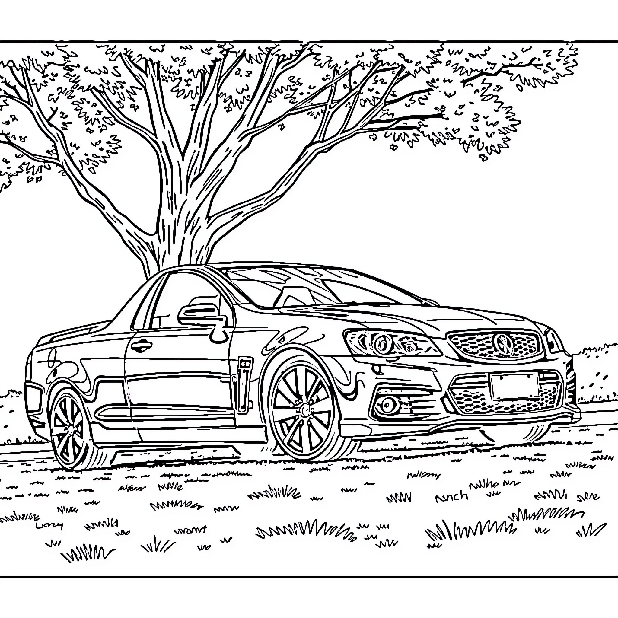 Commodore Sedan Parked Under Tree Coloring Page (free black-and-white line drawing printable PDF for all, from beginners to advanced learners, including children, teens, adults, and seniors)