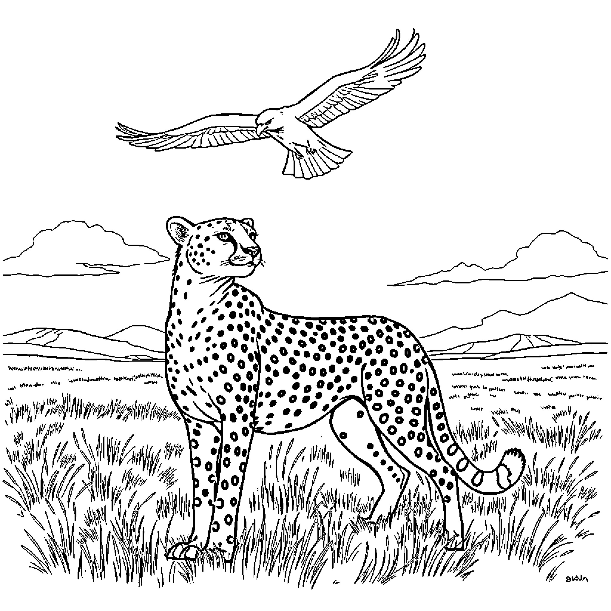 Cheetah hunting in the wild grasslands Coloring Page (free black-and-white line drawing printable PDF for all, from beginners to advanced learners, including children, teens, adults, and seniors)