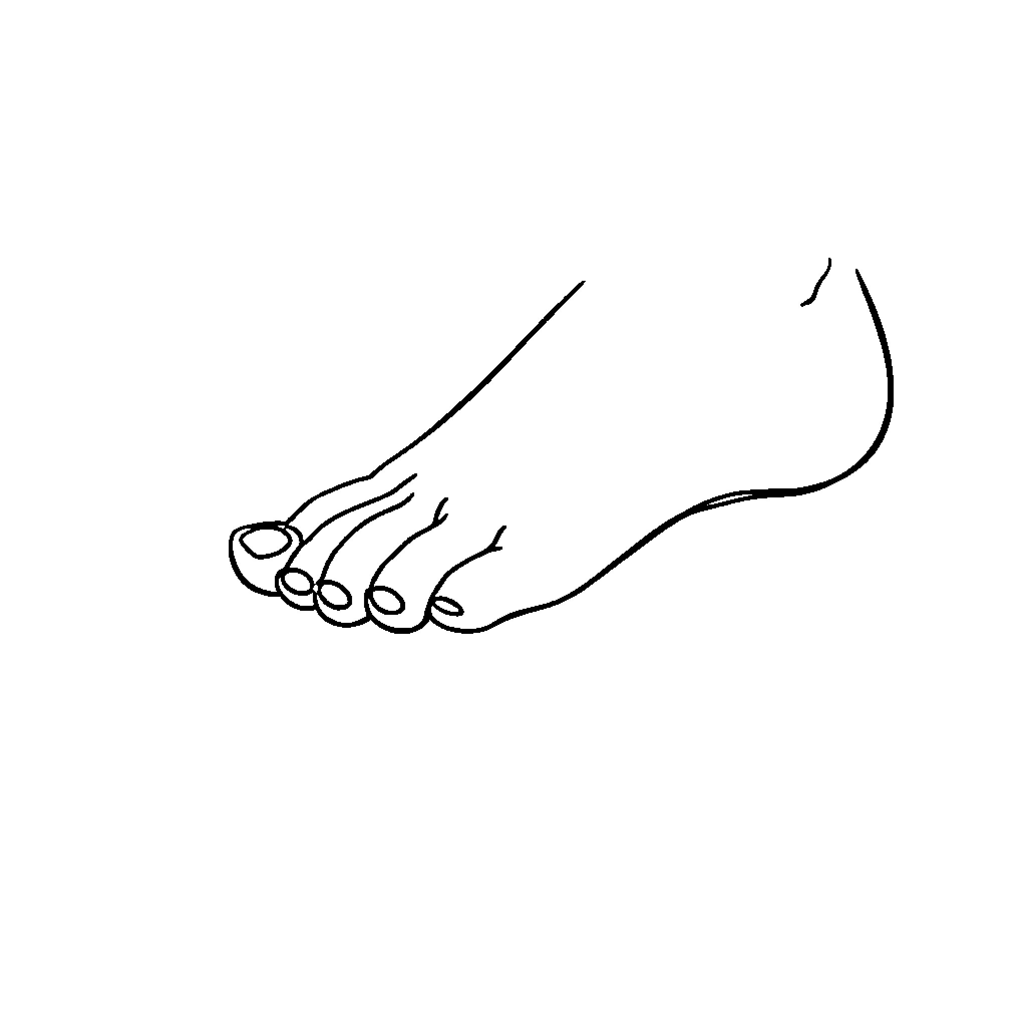 Toe Toes in Artistic Pose Coloring Page (free black-and-white line drawing printable PDF for all, from beginners to advanced learners, including children, teens, adults, and seniors)