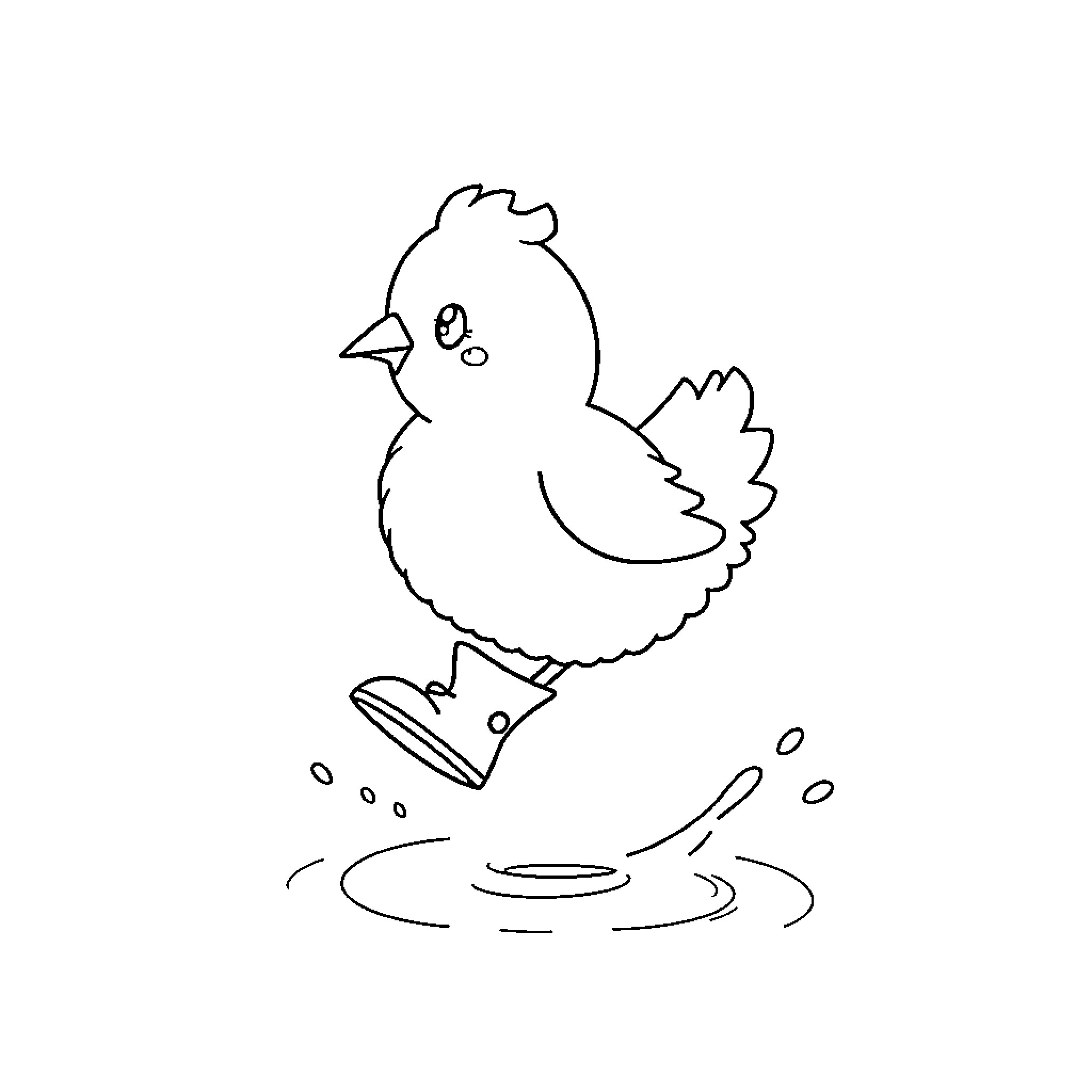 Chicken splashing in puddle Coloring Page (free black-and-white line drawing printable PDF for all, from beginners to advanced learners, including children, teens, adults, and seniors)
