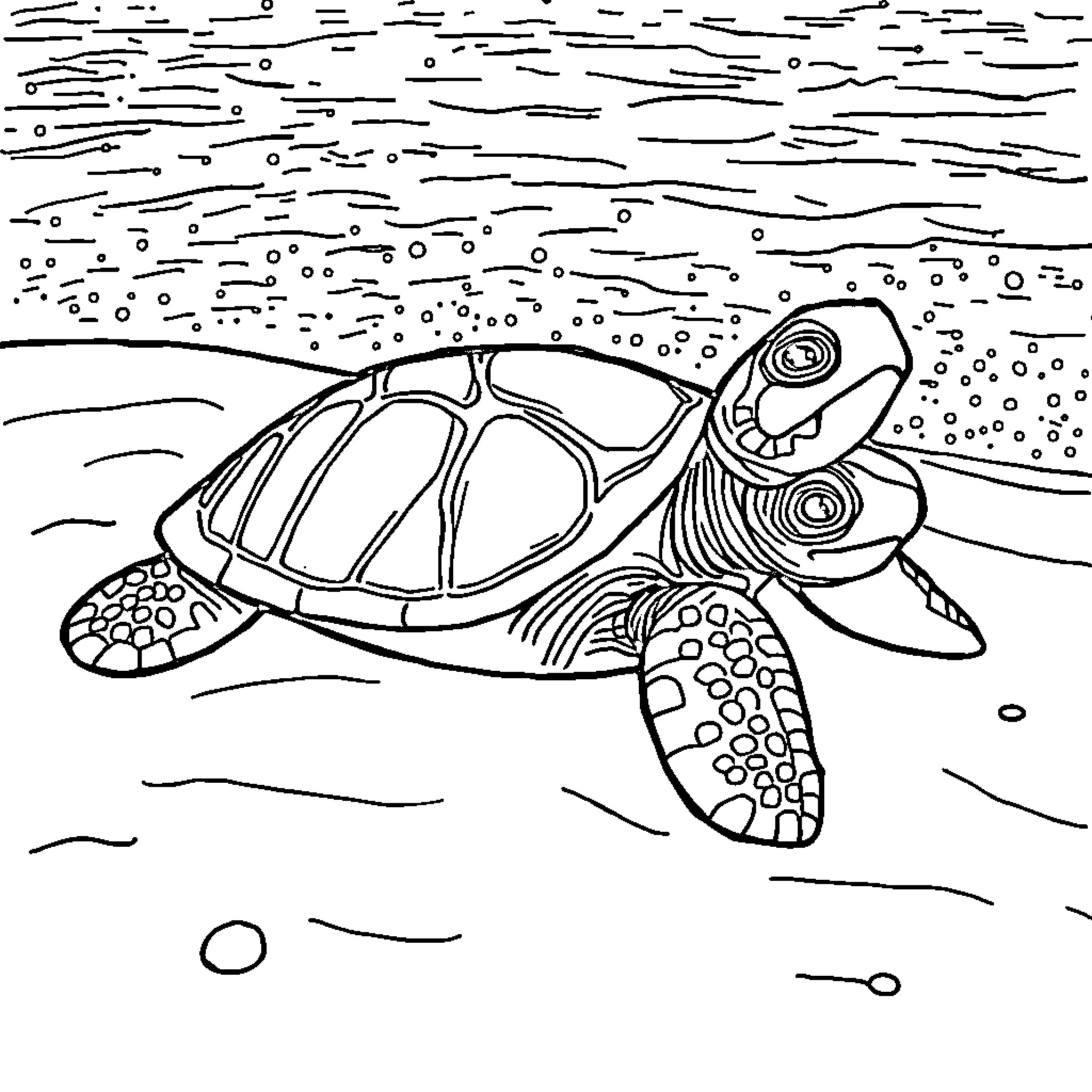 Sea Turtle swimming in the ocean Coloring Page (free black-and-white line drawing printable PDF for all, from beginners to advanced learners, including children, teens, adults, and seniors)