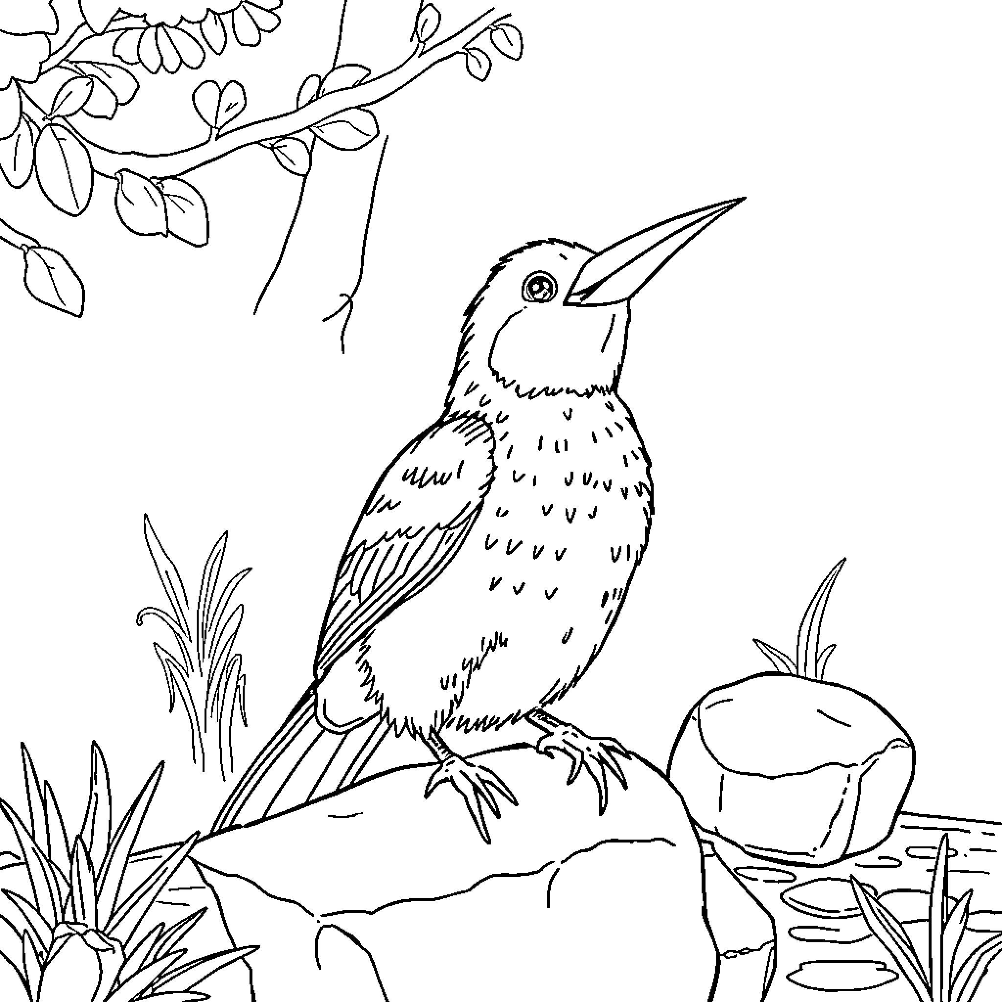 Canary perched on rock amidst nature Coloring Page (free black-and-white line drawing printable PDF for all, from beginners to advanced learners, including children, teens, adults, and seniors)