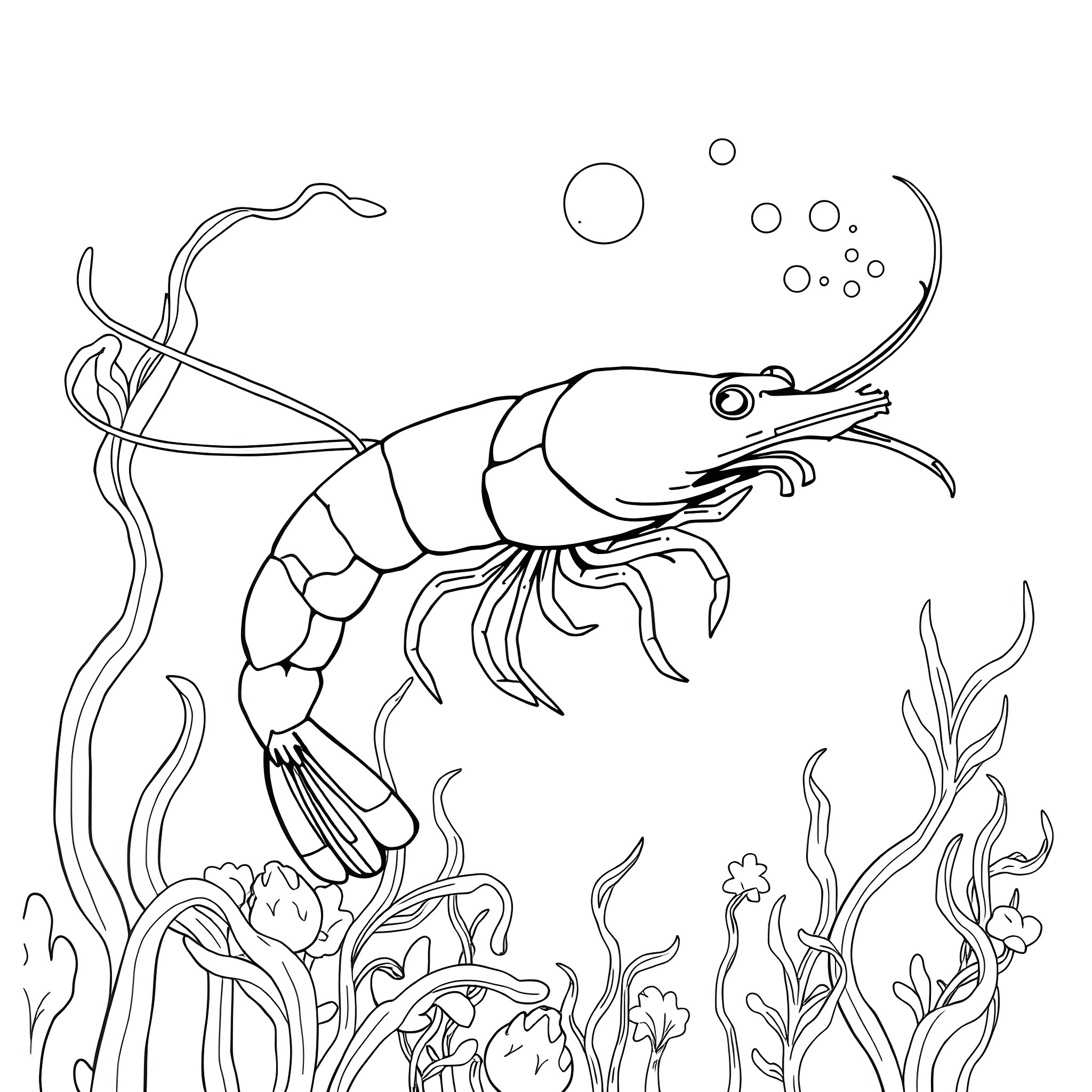 Shrimp swimming in the underwater scene Coloring Page (free black-and-white line drawing printable PDF for all, from beginners to advanced learners, including children, teens, adults, and seniors)
