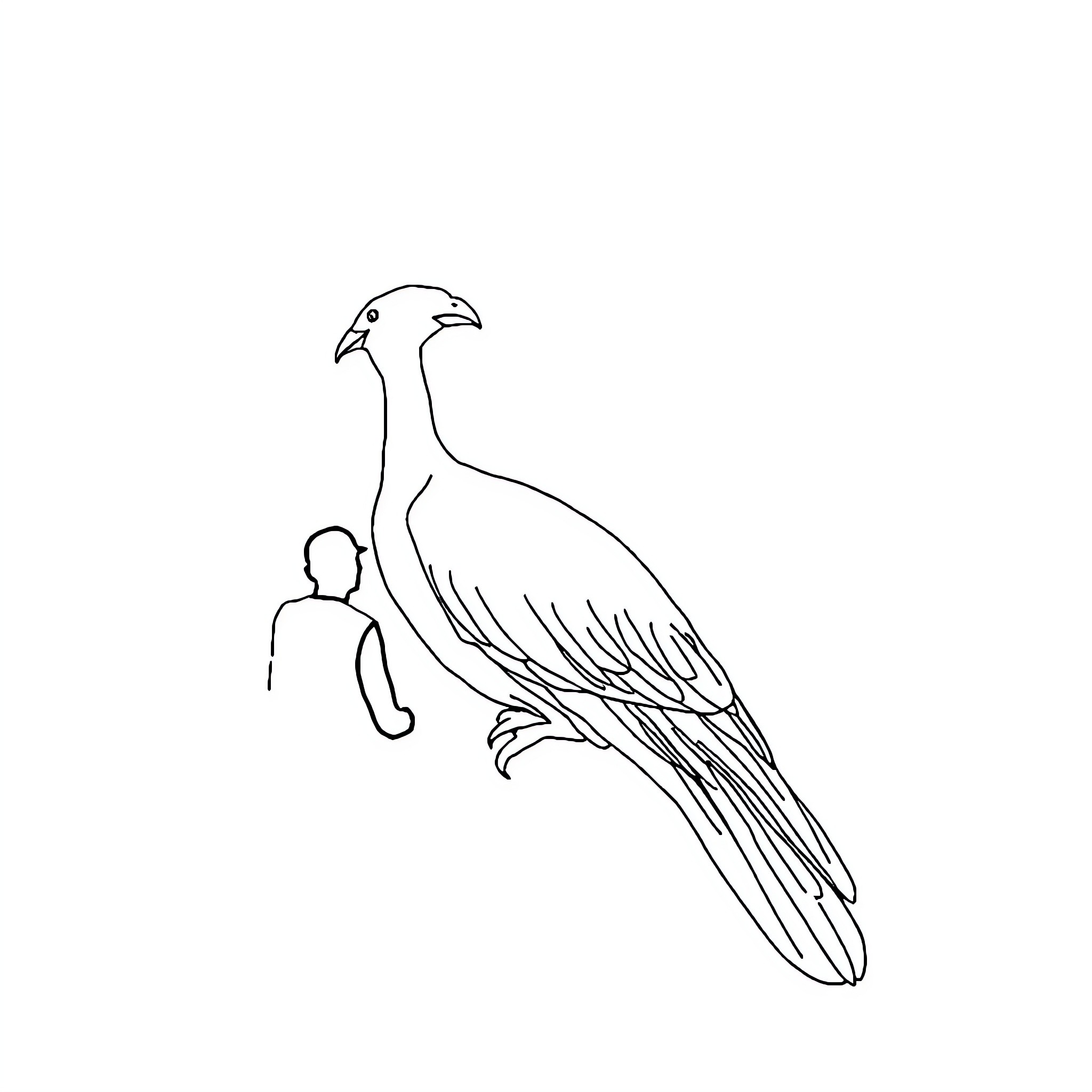 Mitthu's Magnificent Feathered Friend Coloring Page (free black-and-white line drawing printable PDF for all, from beginners to advanced learners, including children, teens, adults, and seniors)
