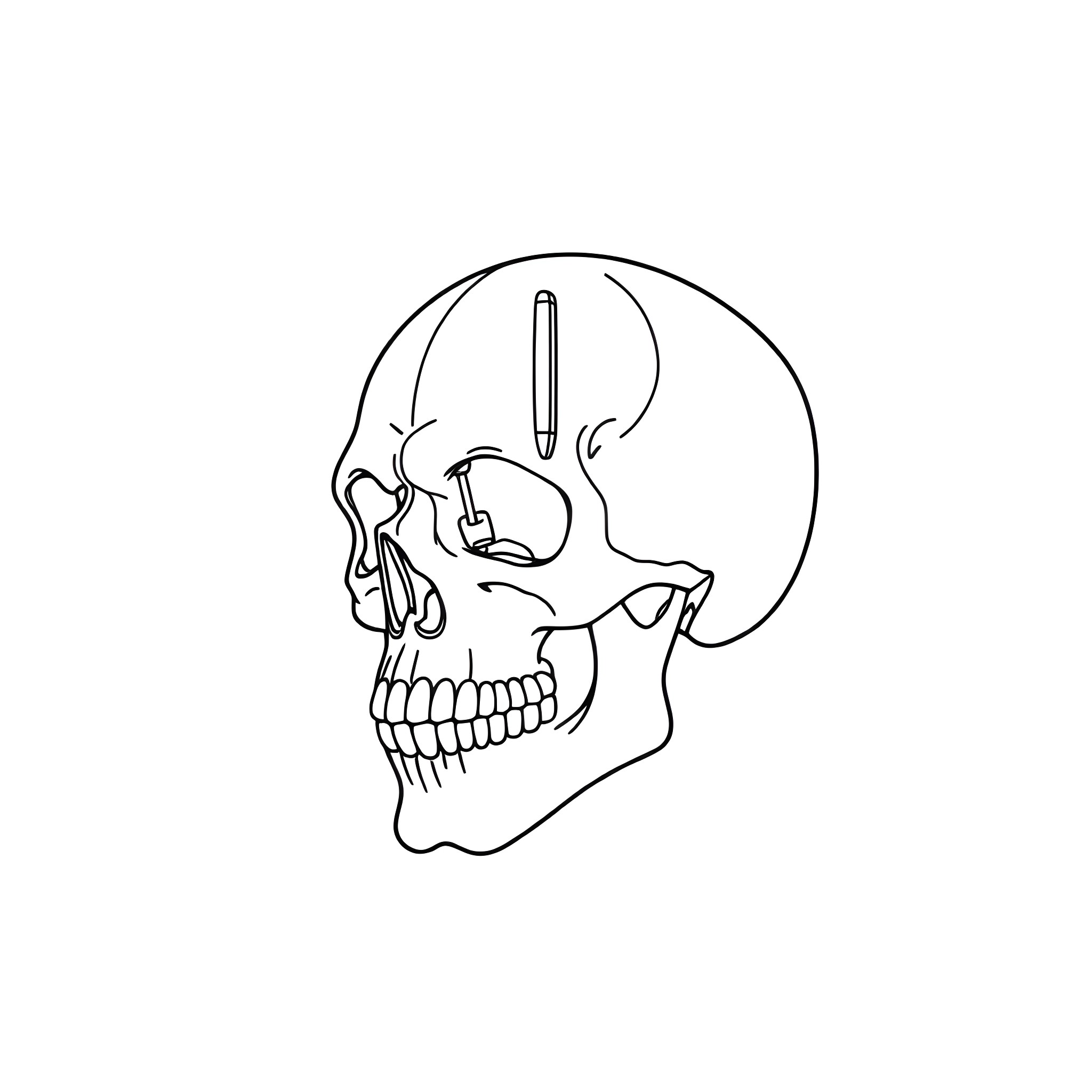 Scalpel and the Skull Coloring Page (free black-and-white line drawing printable PDF for all, from beginners to advanced learners, including children, teens, adults, and seniors)